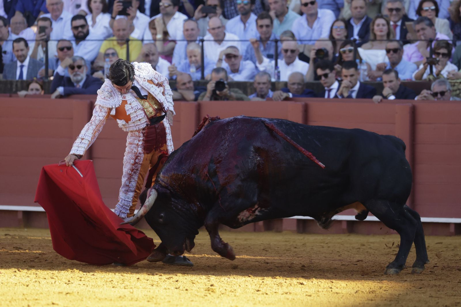 Las imágenes del festejo