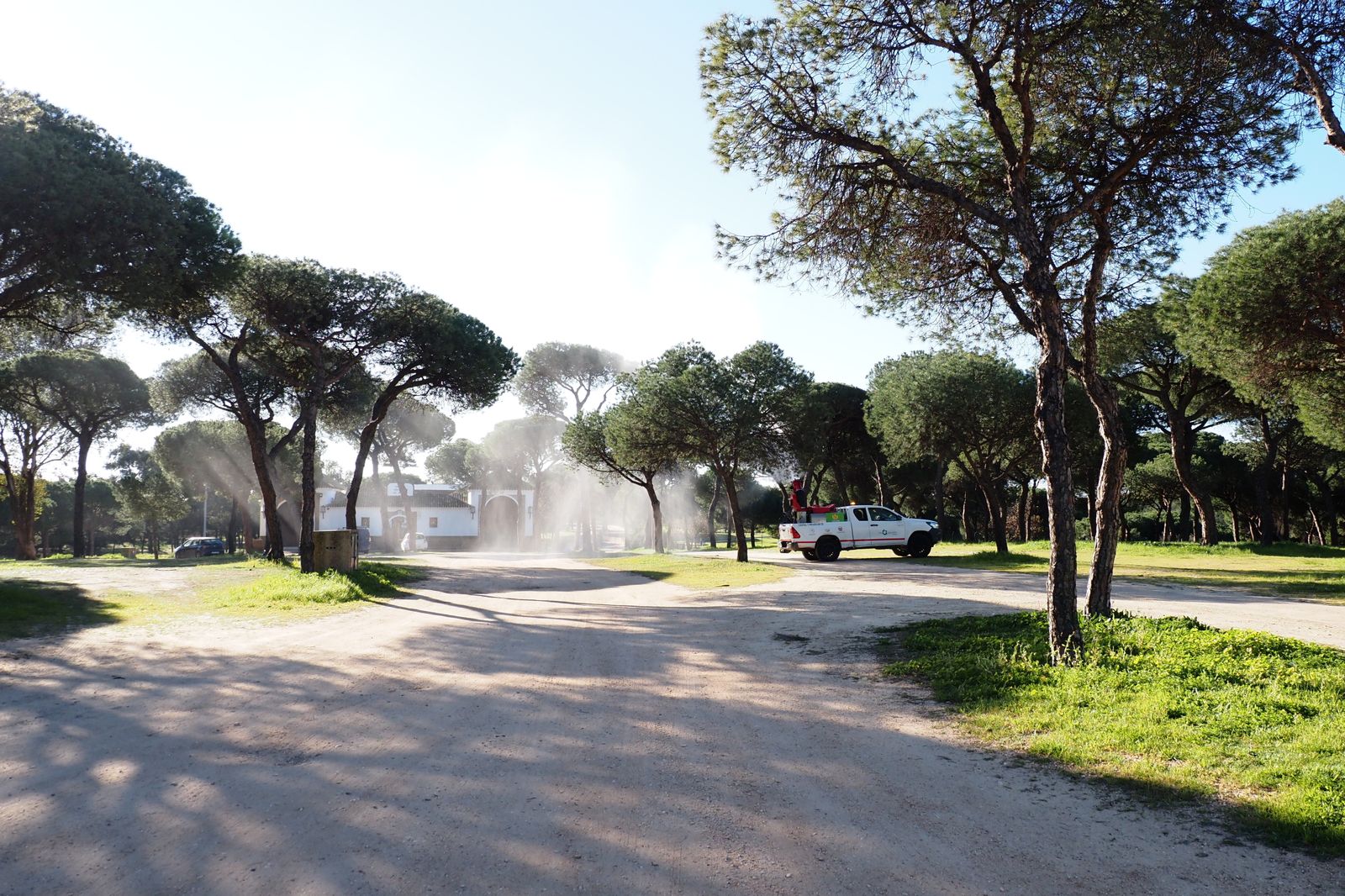 Palos comienza una nueva campaña de fumigación contra la oruga procesionaria