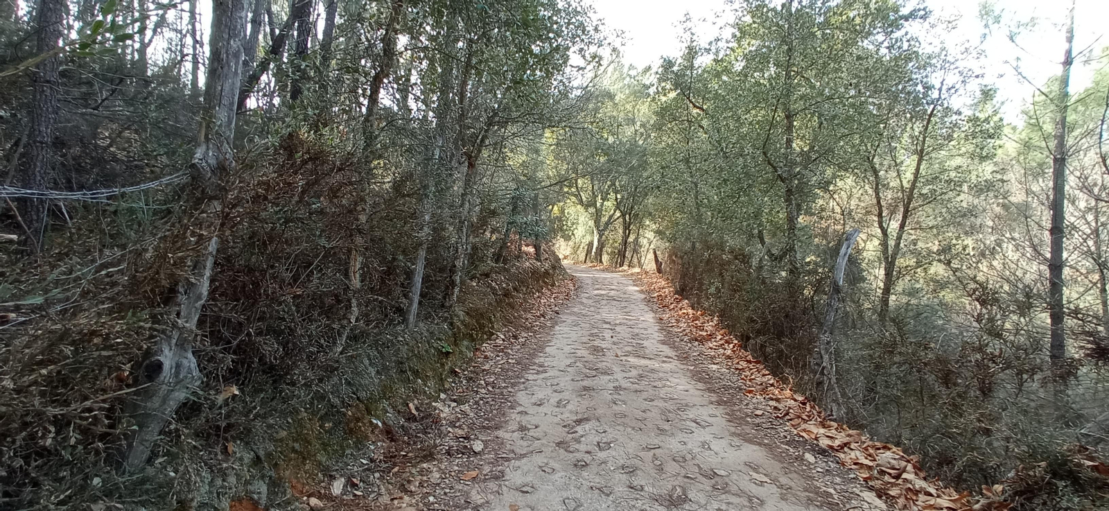 Las imágenes de la ruta de la Dehesa de Valdelama: De Los Marines a Fuenteheridos y vuelta