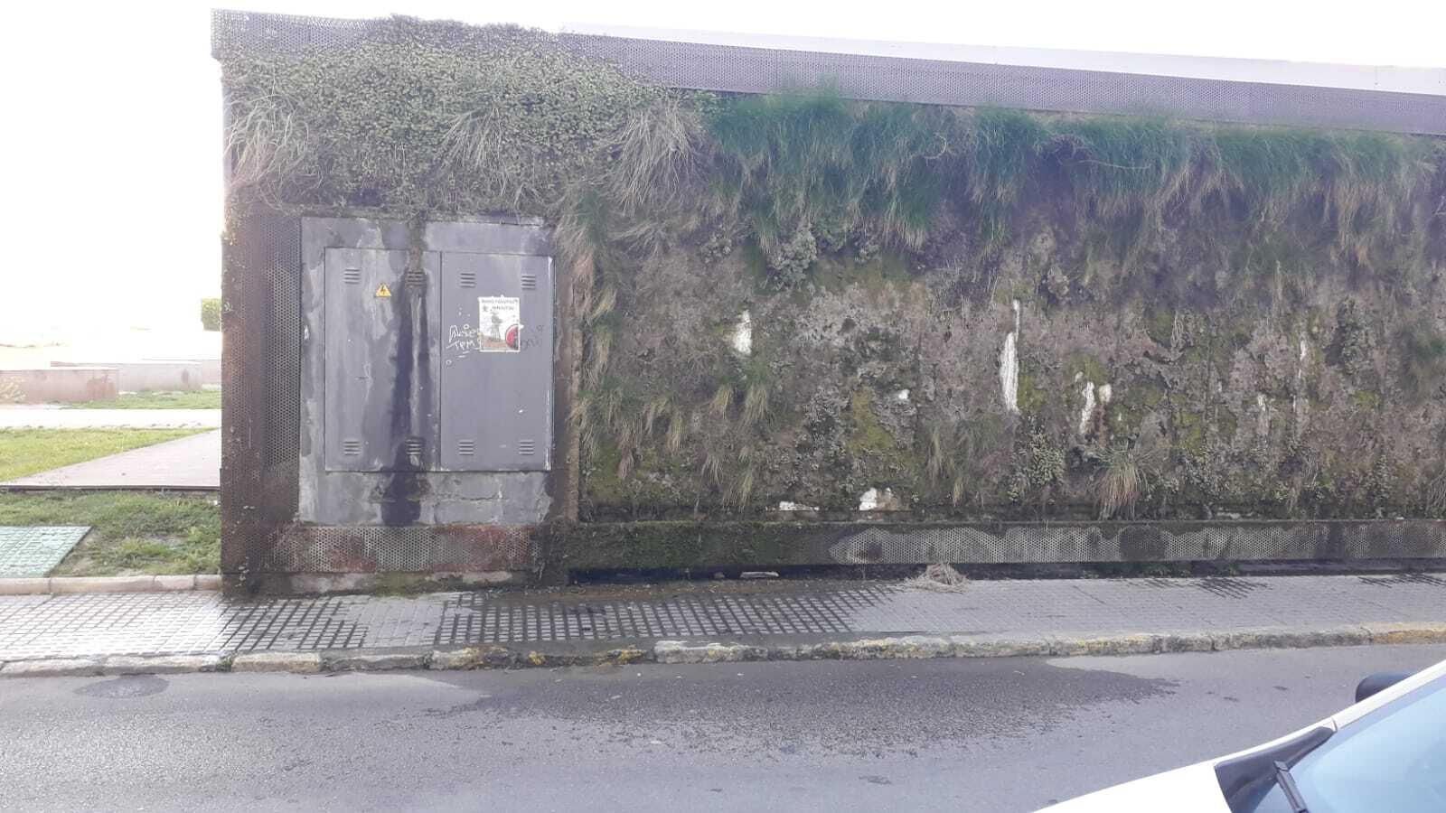 Estado que presentan los jardines verticales del Castillo de San Romualdo de San Fernando, en una imagen cedida por AxSí.