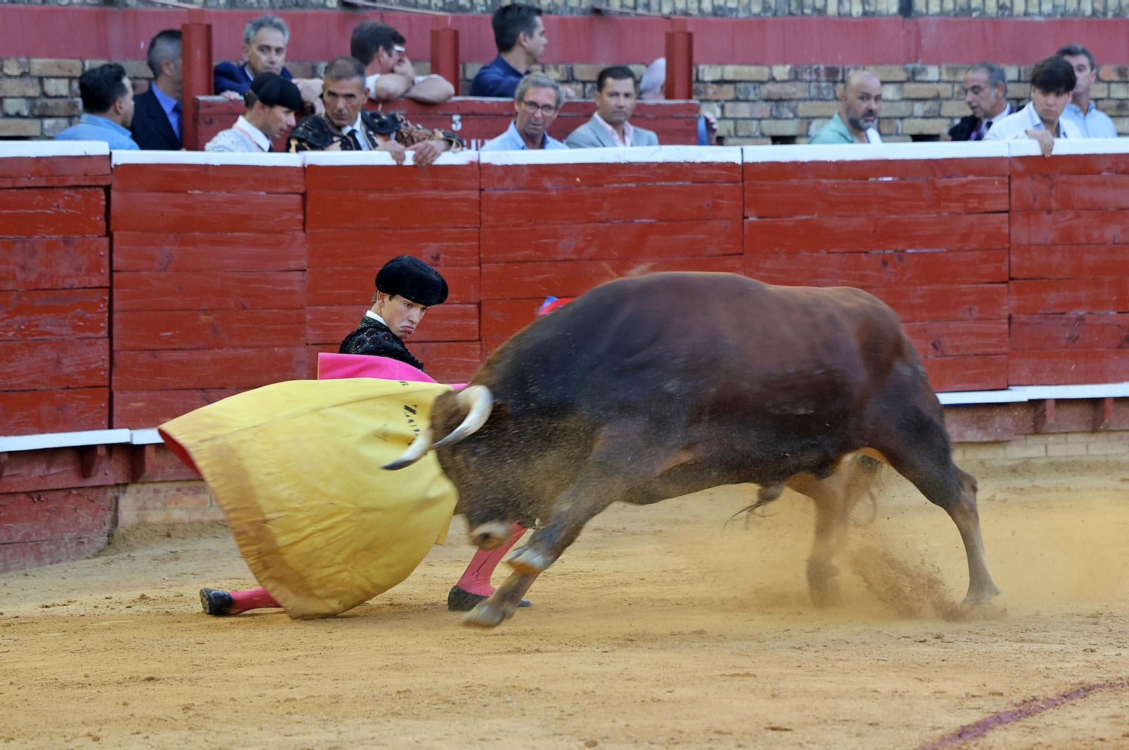 Toros La Merced 2025: Imágenes de la Novillada de Javier Zulueta, Cristian González y Carlos Tirado