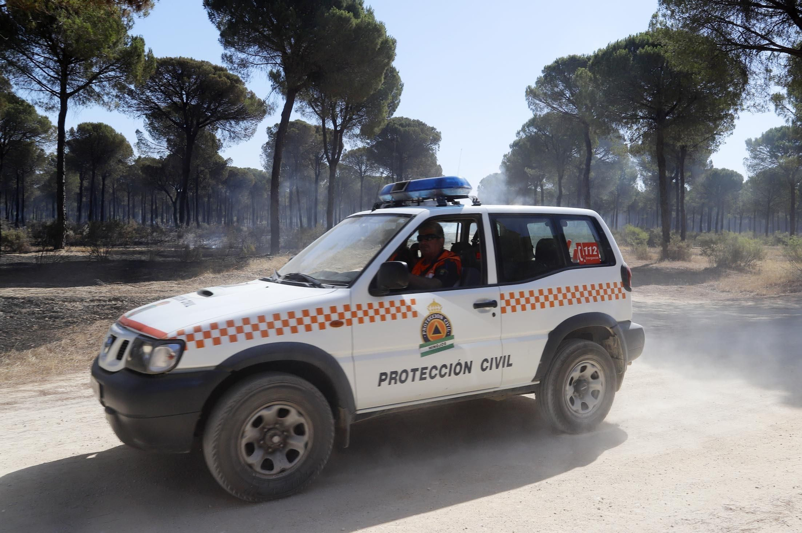 Imágenes de las zonas afectadas por los incendios de Almonte y Bonares