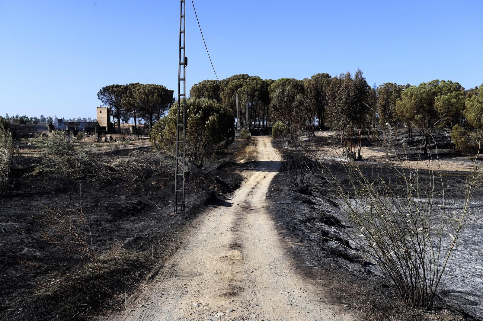 Imágenes de las zonas afectadas por los incendios de Almonte y Bonares