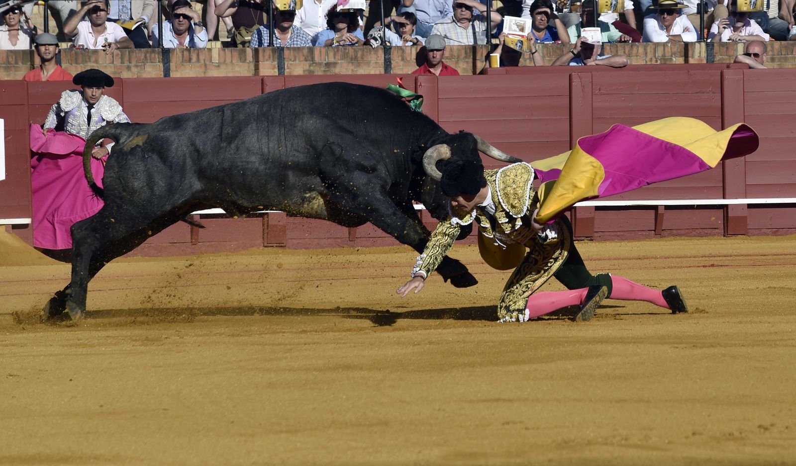 La 14ª de abono en la Real Maestranza de Sevilla, en imágenes