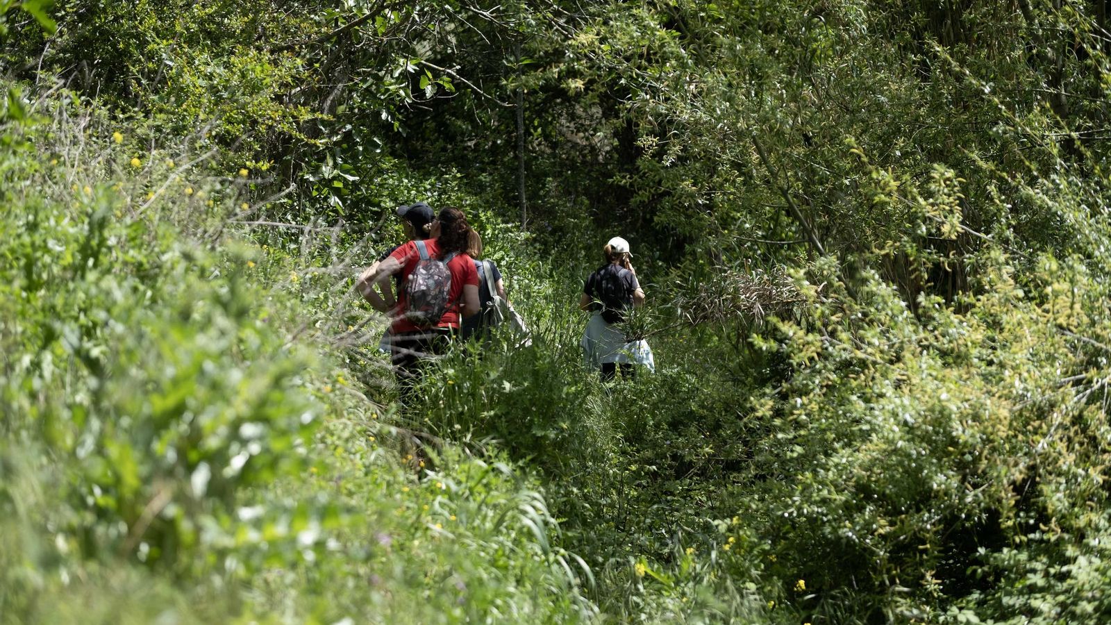Primavera en la Serranía de Ronda, en imágenes.
