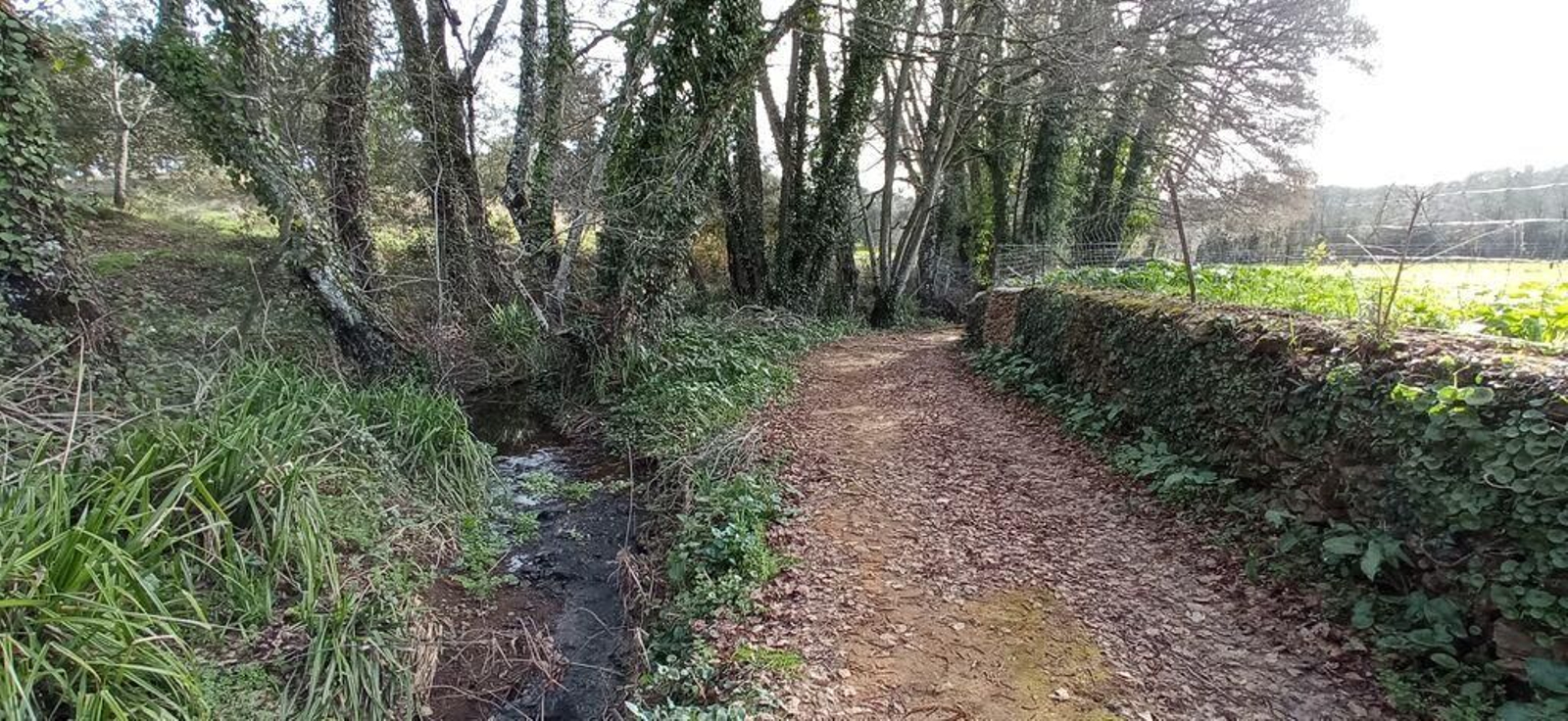 Una ruta en pleno corazón de Los Marines