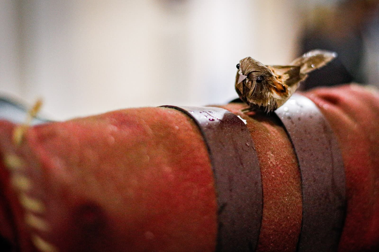 Búscate entre las mejores imágenes de la quinta sesión de cuartos de final del COAC 2026