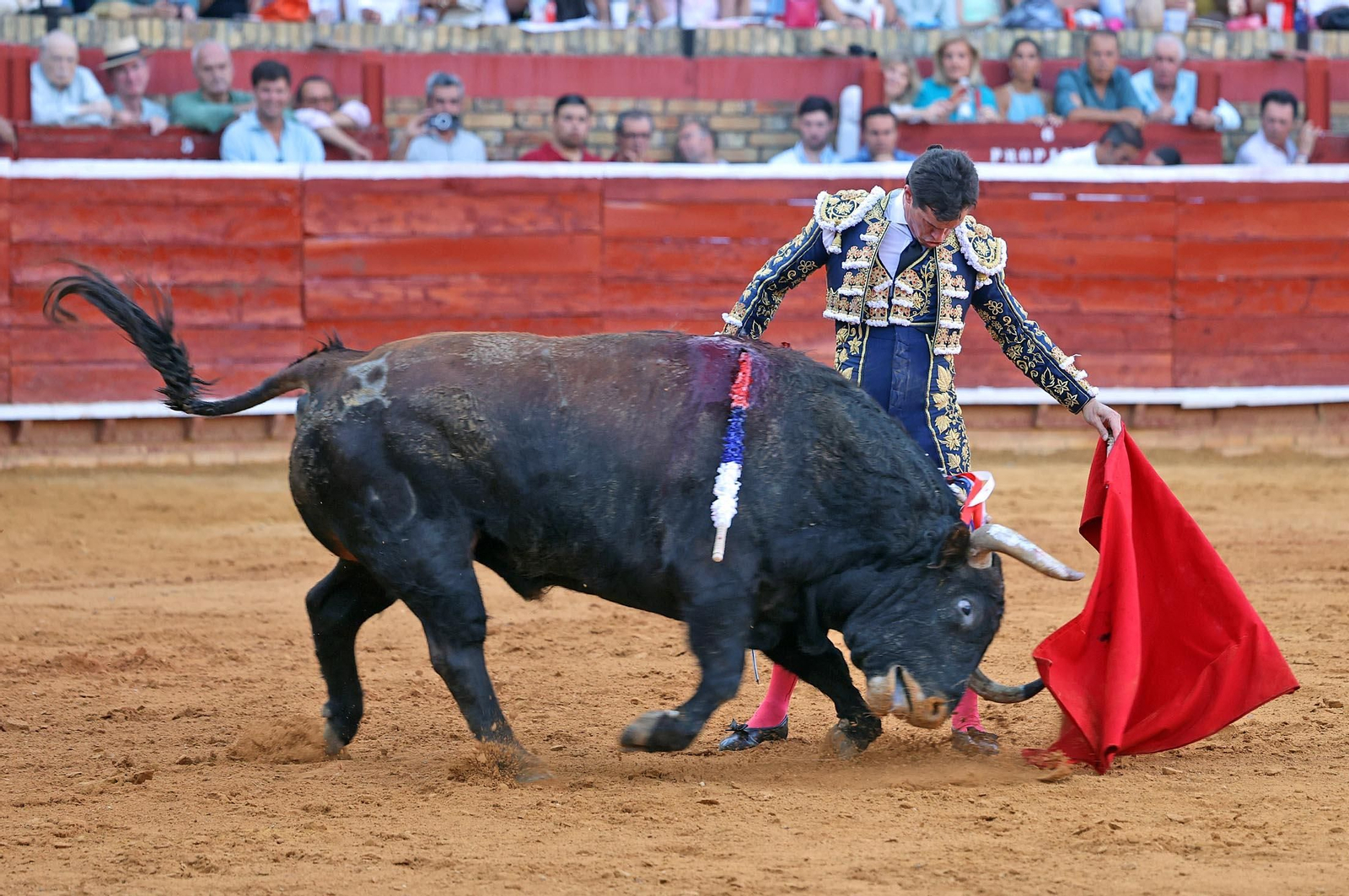 Toros La Merced 2025: Imágenes de la Corrida de Toros de Morante de la Puebla, Daniel Luque y Juan Ortega