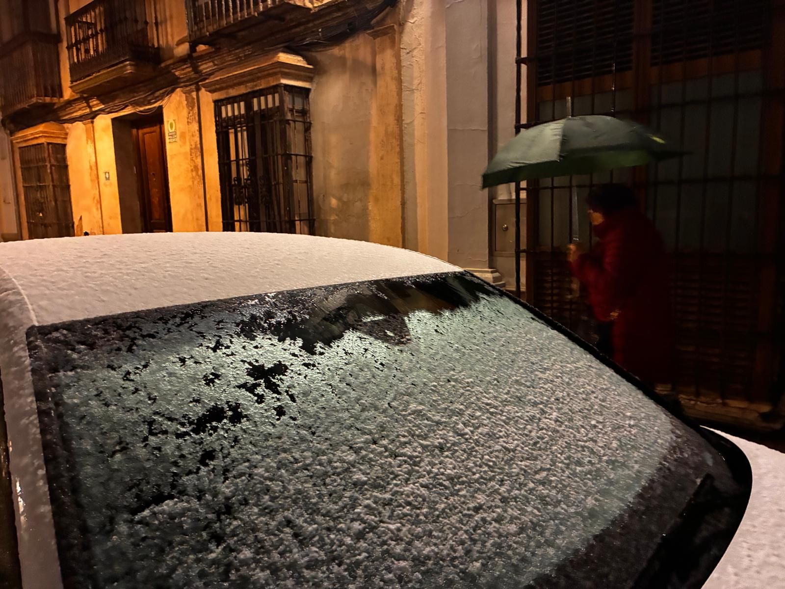 La nieve tiñe de blanco la Serranía de Ronda