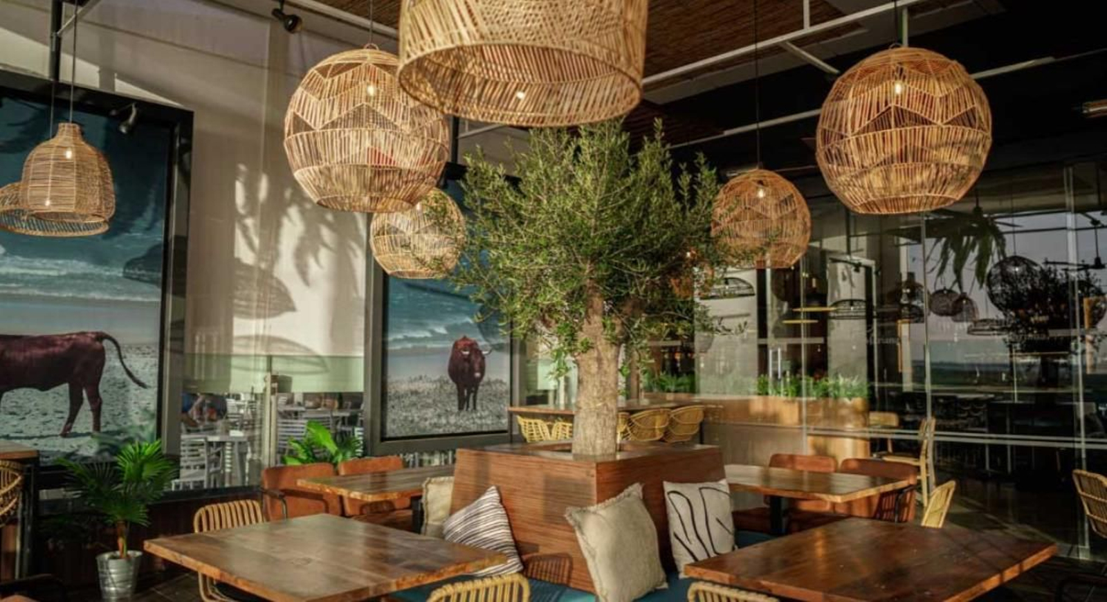 San Fernando - Centro Comercial Bahía Sur