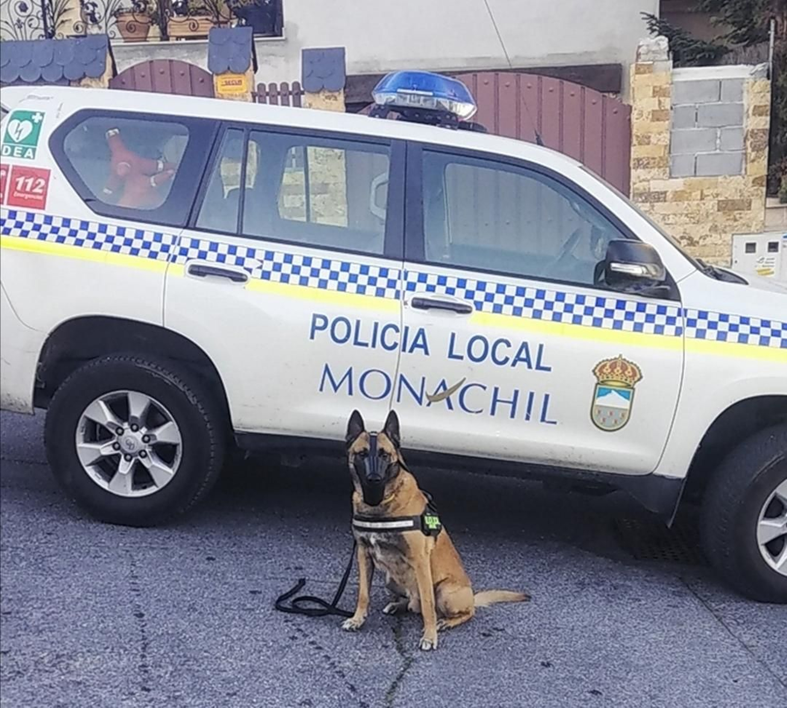 Agentes de toda España y sus perros policía participarán en unas jornadas de formación en Sierra Nevada