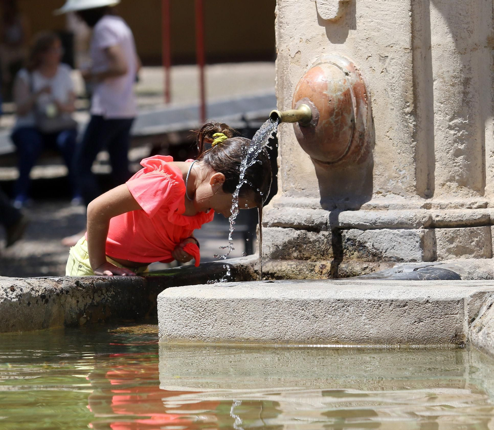 La media más alta fue en Córdoba pero donde más subió fue en Granada.