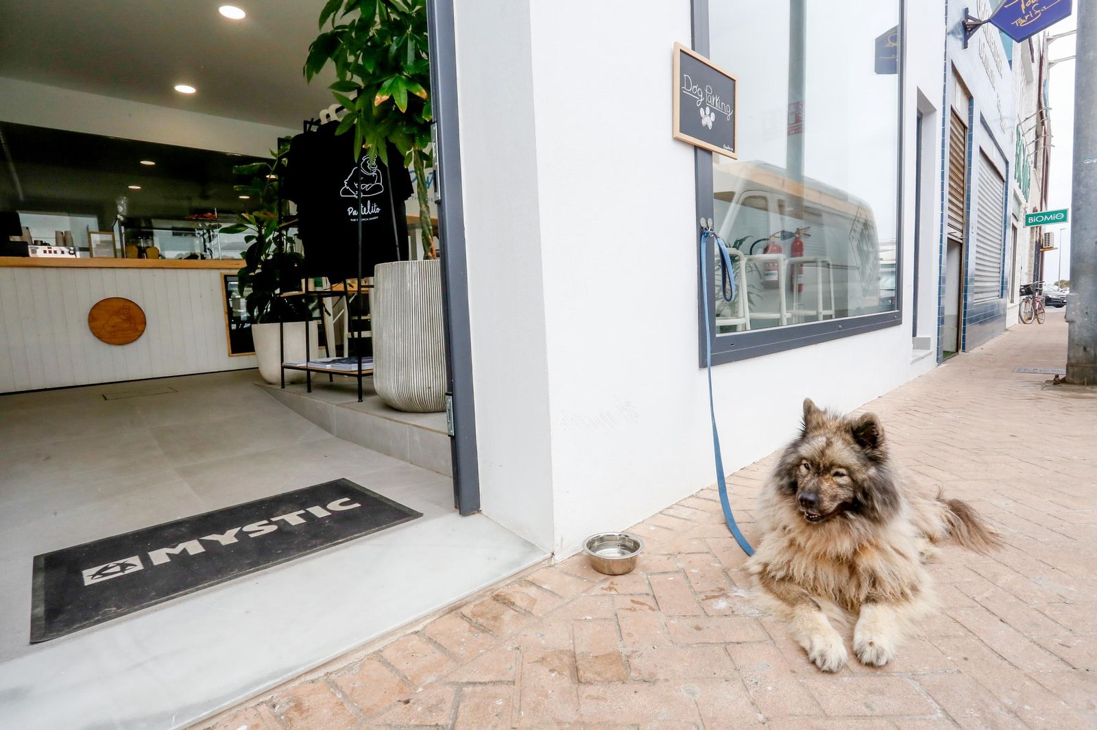 Fotos de una visita a "Pastelito", la nueva panadería y pastelería que triunfa en Tarifa