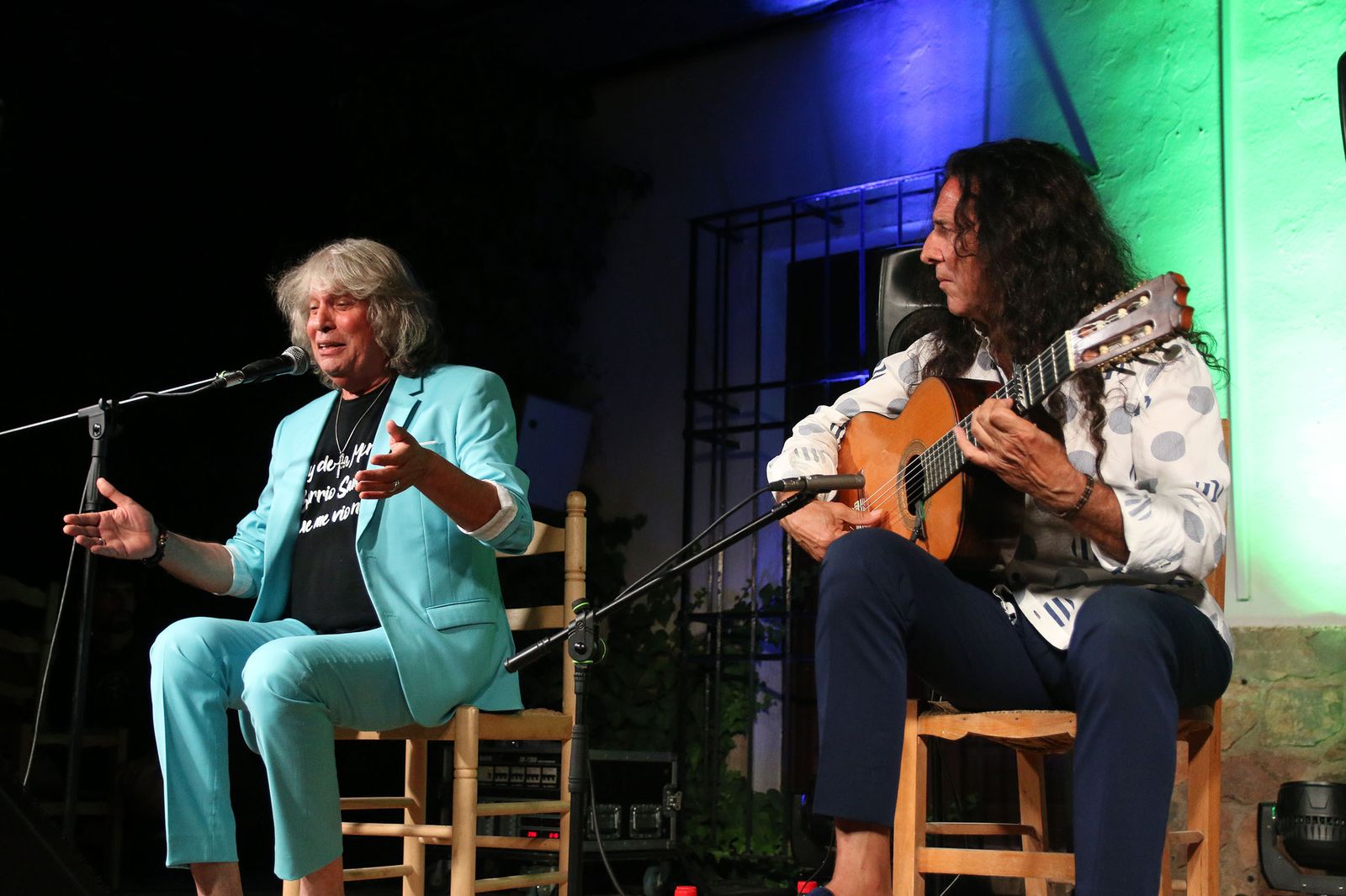 El XXXI Festival Flamenco de Fondón, en imágenes