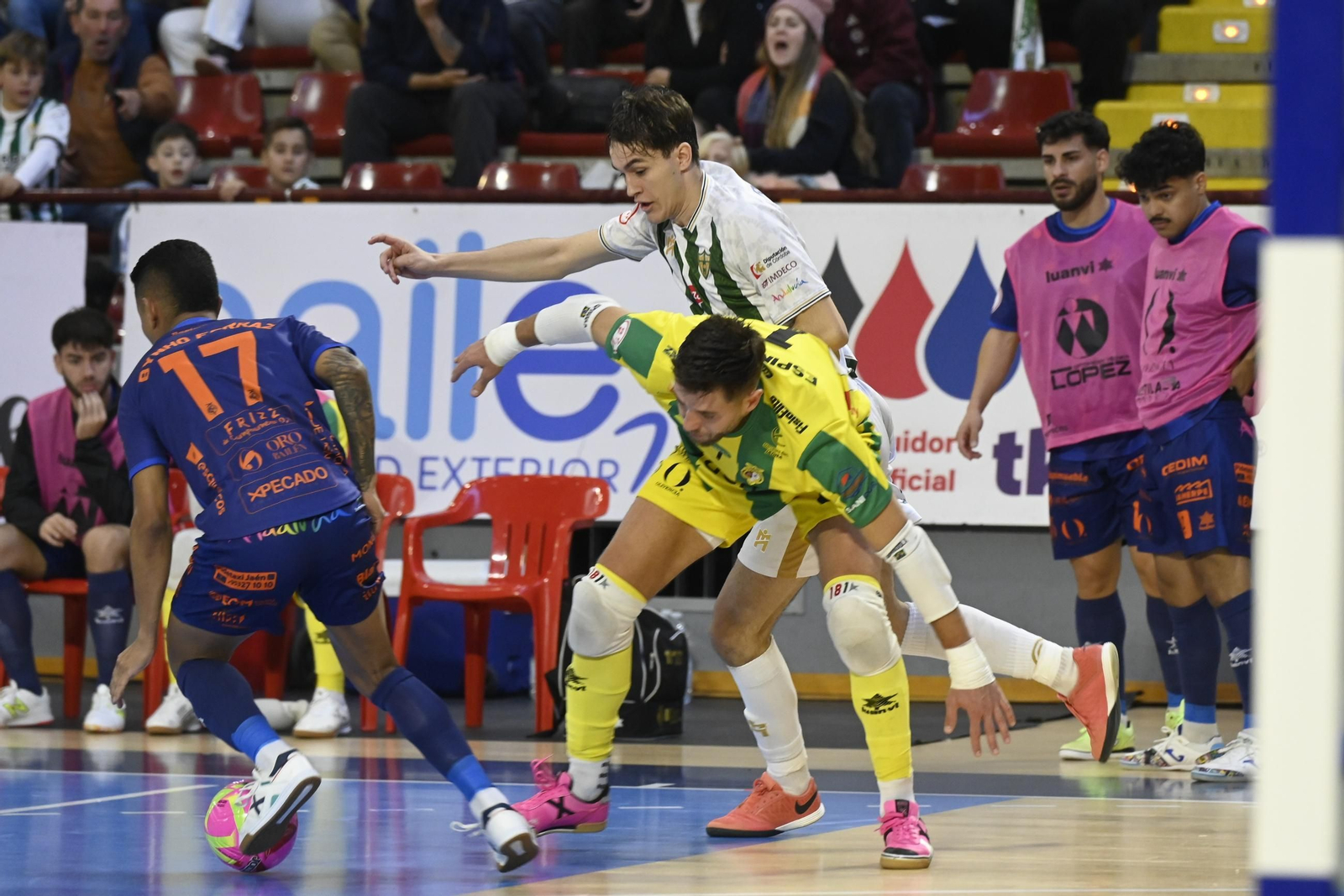 Las mejores fotos del ambiente en Vista Alegre para el Córdoba Futsal - Jaén