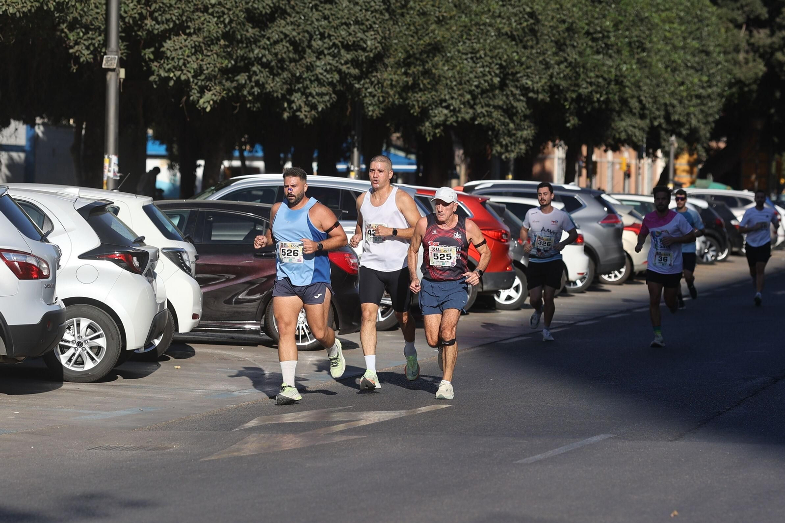 La Carrera El Torcal-La Paz de Málaga, en fotos