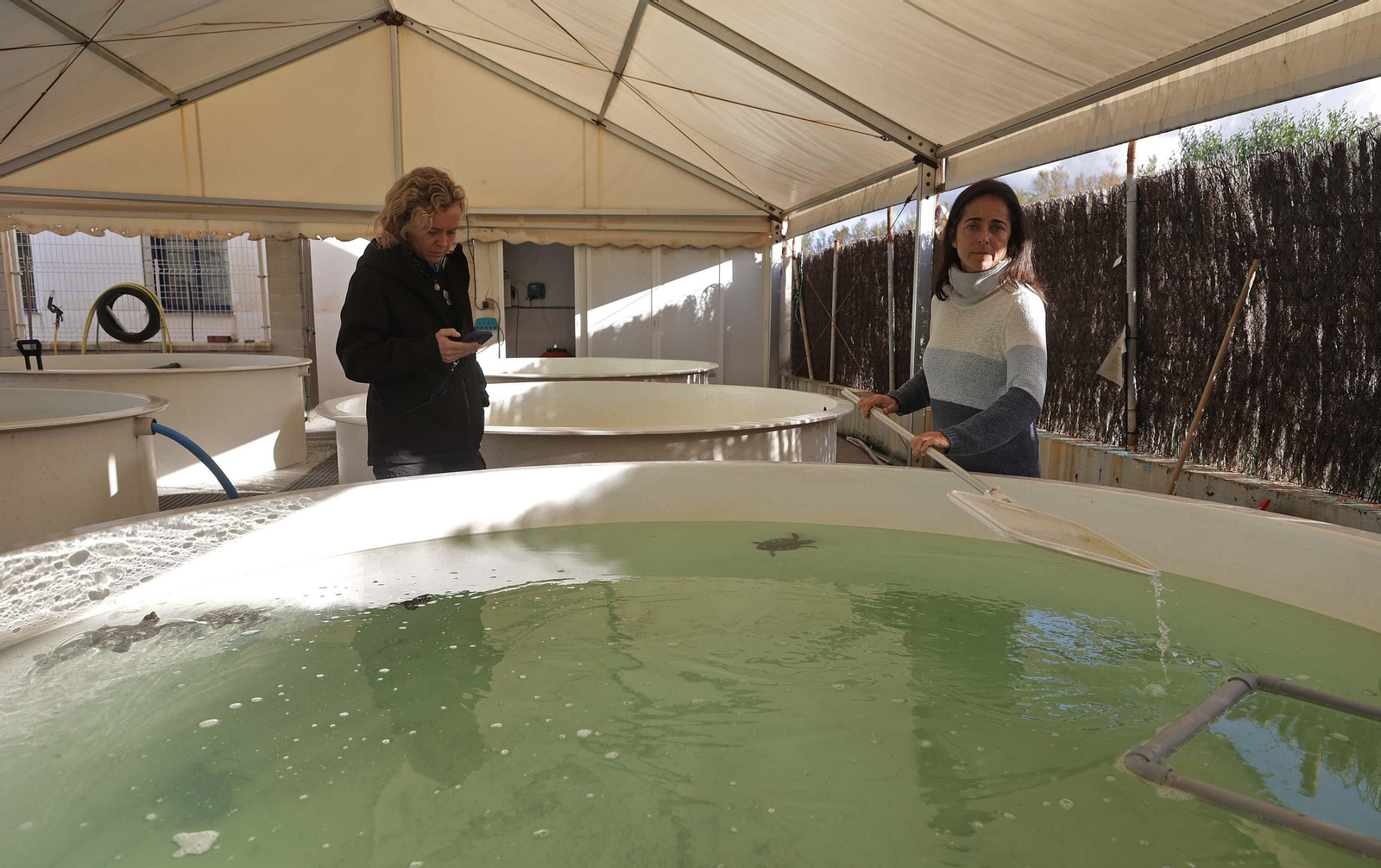 El Centro de Gestión del Medio Marino Andaluz (CEGMA) de Algeciras, en imágenes