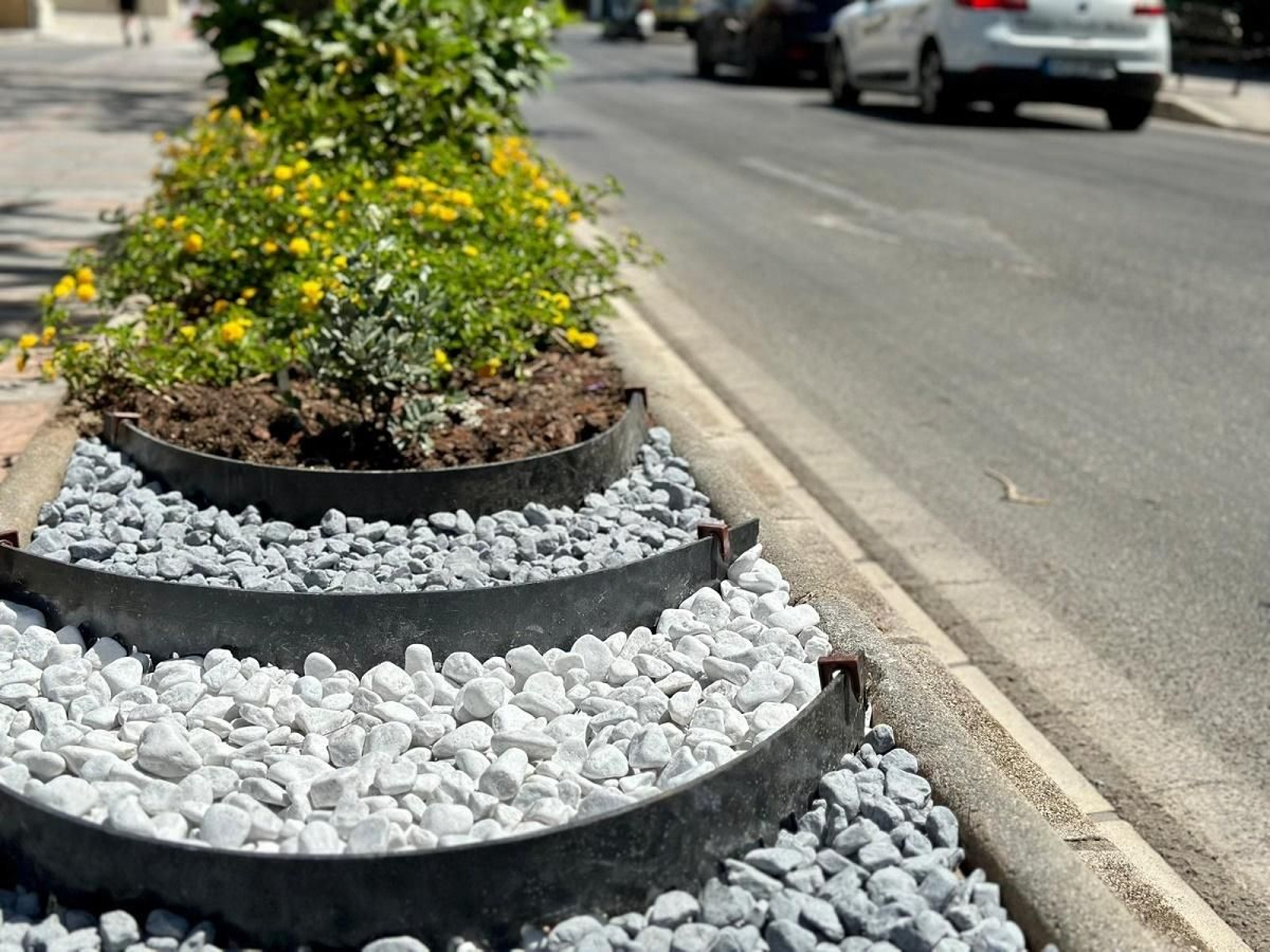 Una de las jardinerasmantenidas con xerojardinería. Una de las jardinerasmantenidas con xerojardinería.