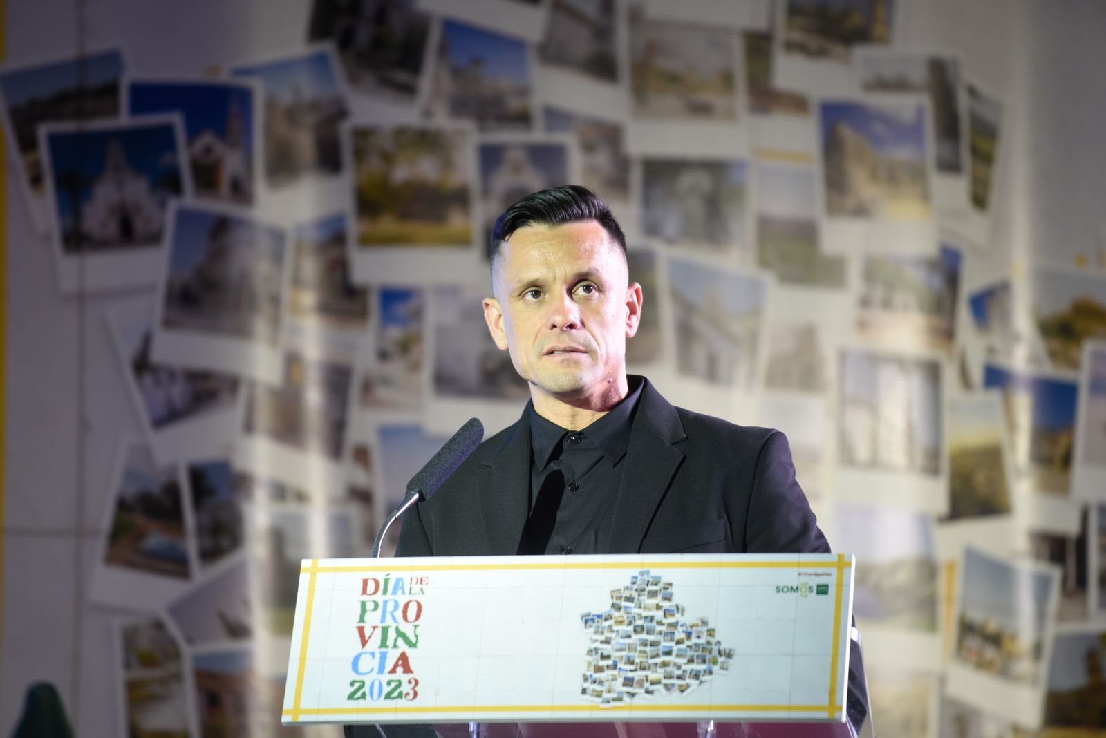 La entrega de las Medallas de la Provincia de Sevilla, en imágenes