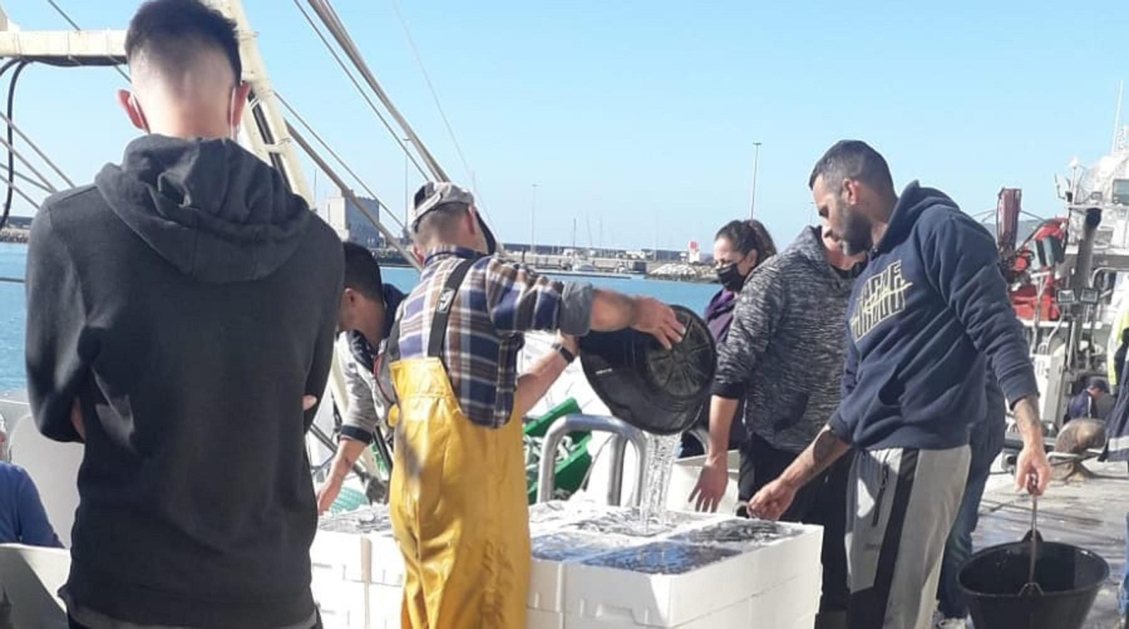 La tripulación del pesquero Moby Dick preparan las capturas de boquerones en aguanieve para sacarlas a subasta en la lonja.