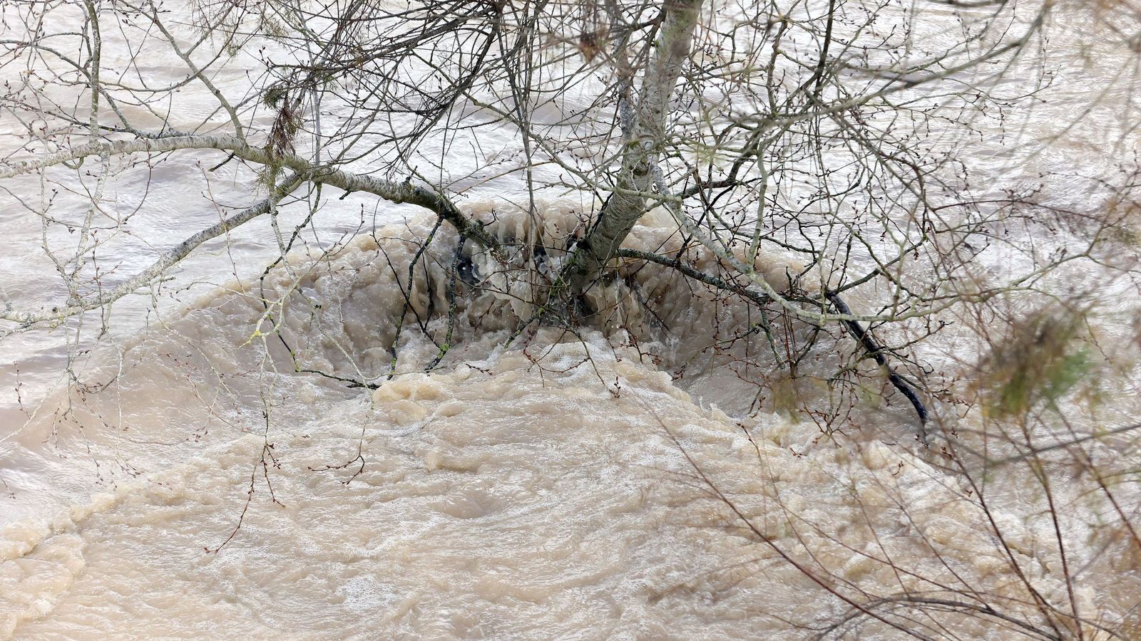 Así afronta la zona rural de Jerez la subida del río Guadalete