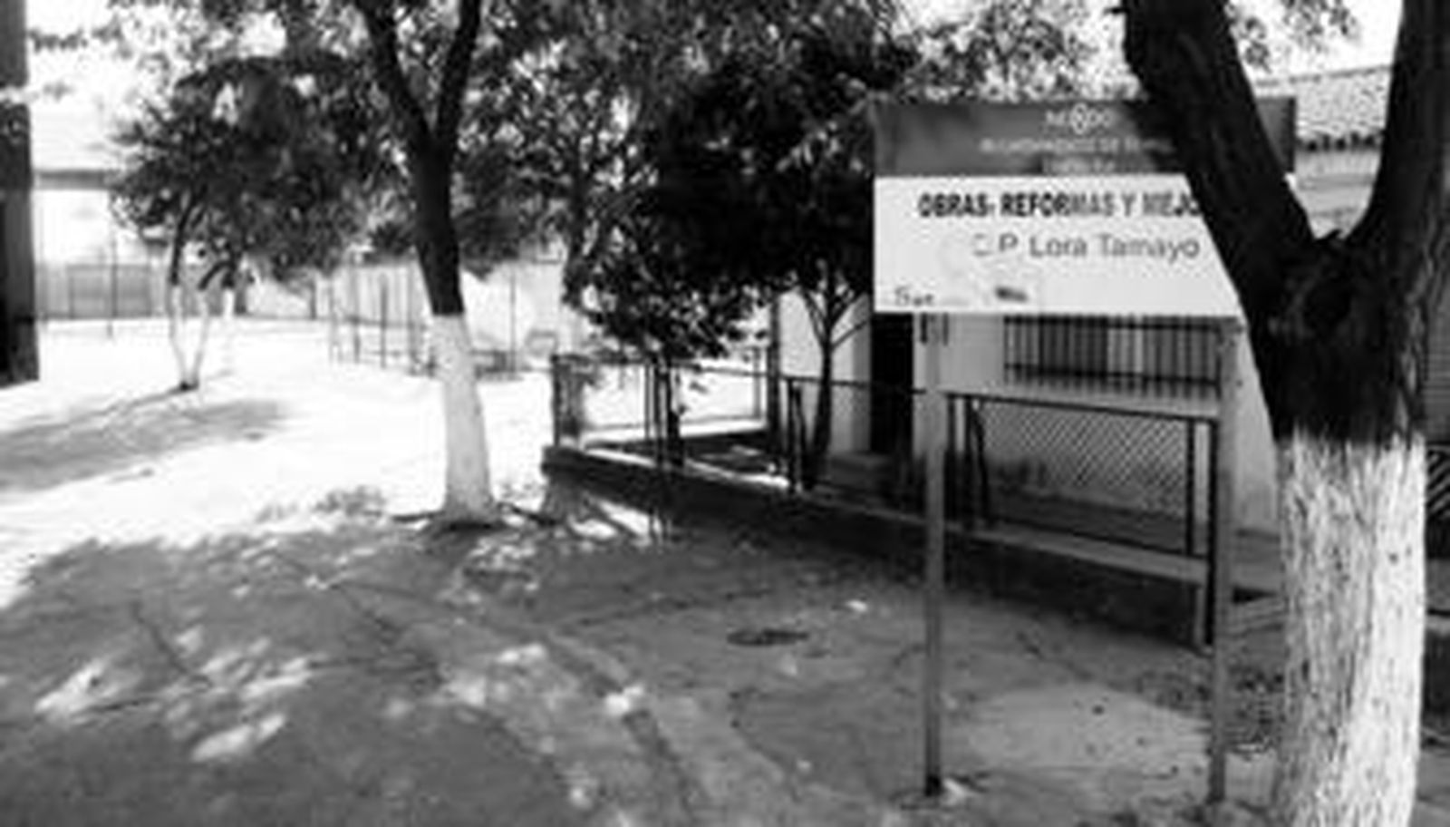 El colegio Manuel Lora-Tamayo, en el barrio de Bellavista, podría perder próximamente su nombre.