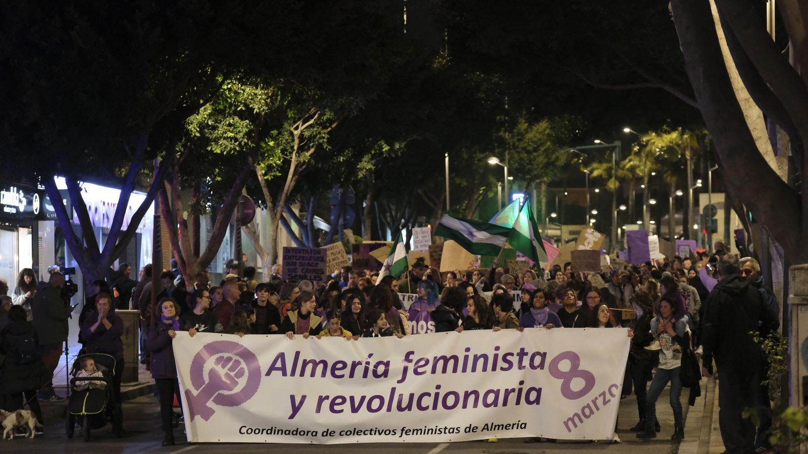 Imágenes de las manifestaciones por el Día de la Mujer en Almería