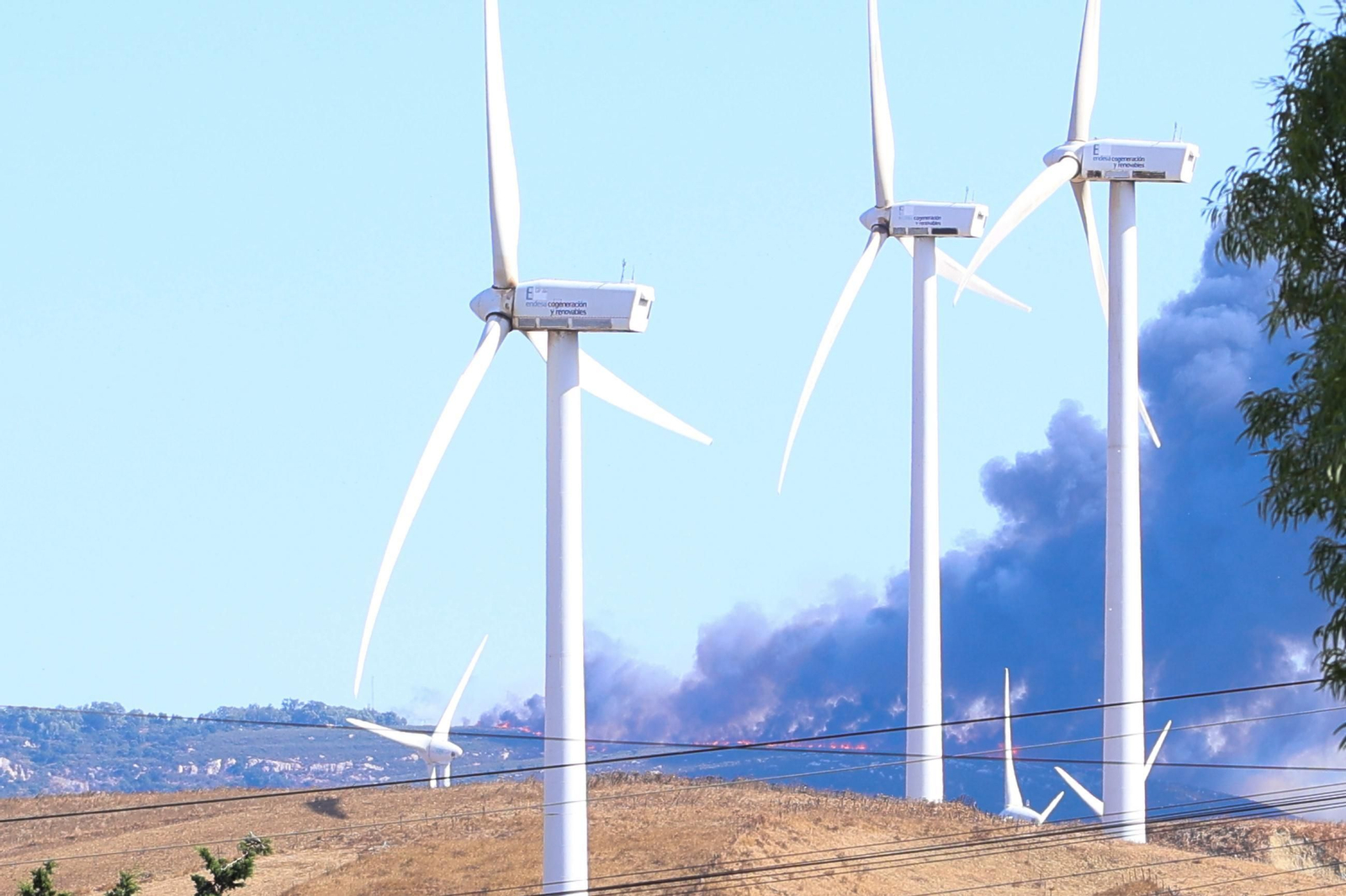 Las fotos del incendio forestal en la Sierra de la Plata de Tarifa