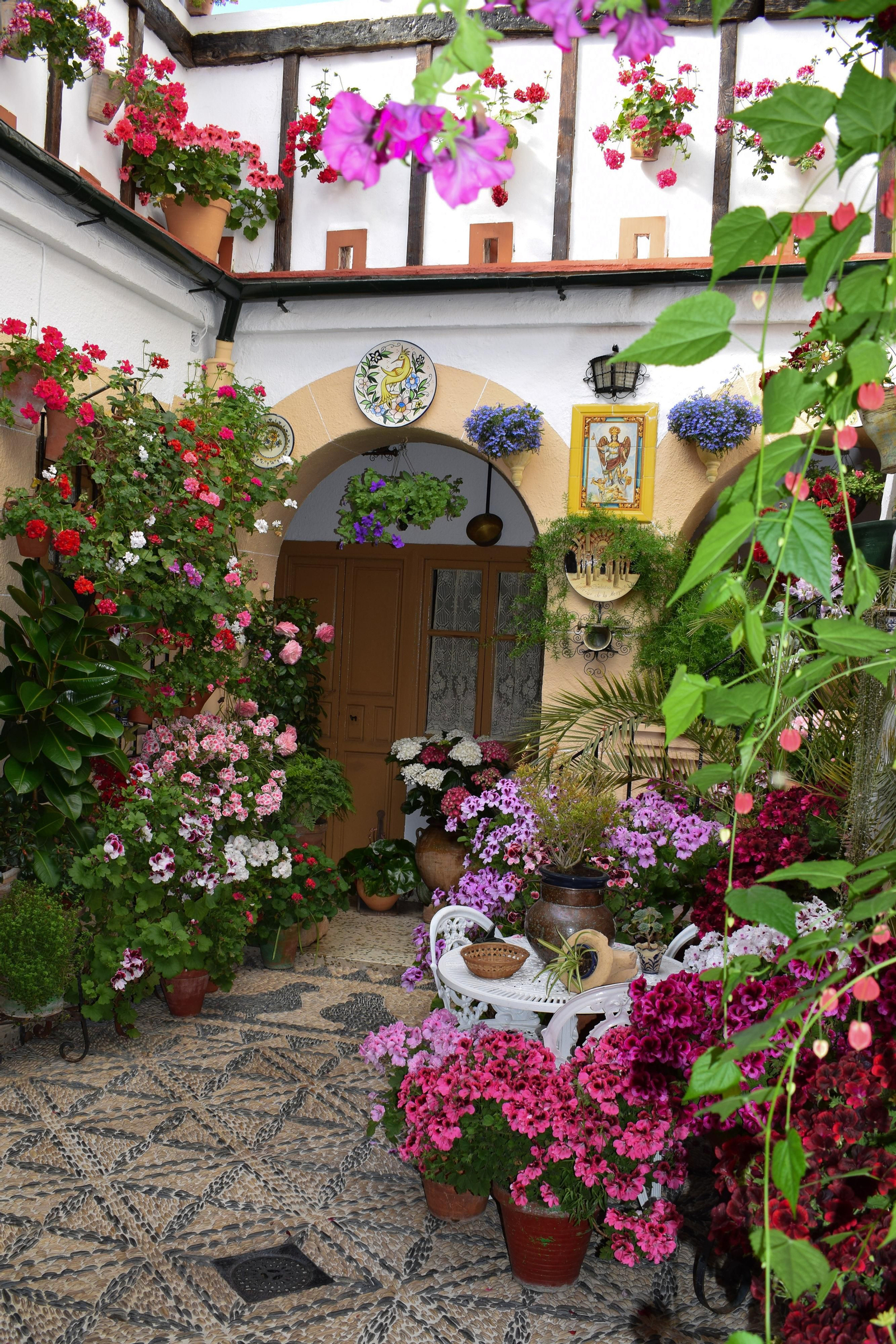 RUTA SANTA MARINA-SAN AGUSTÍN: ZARCO 13