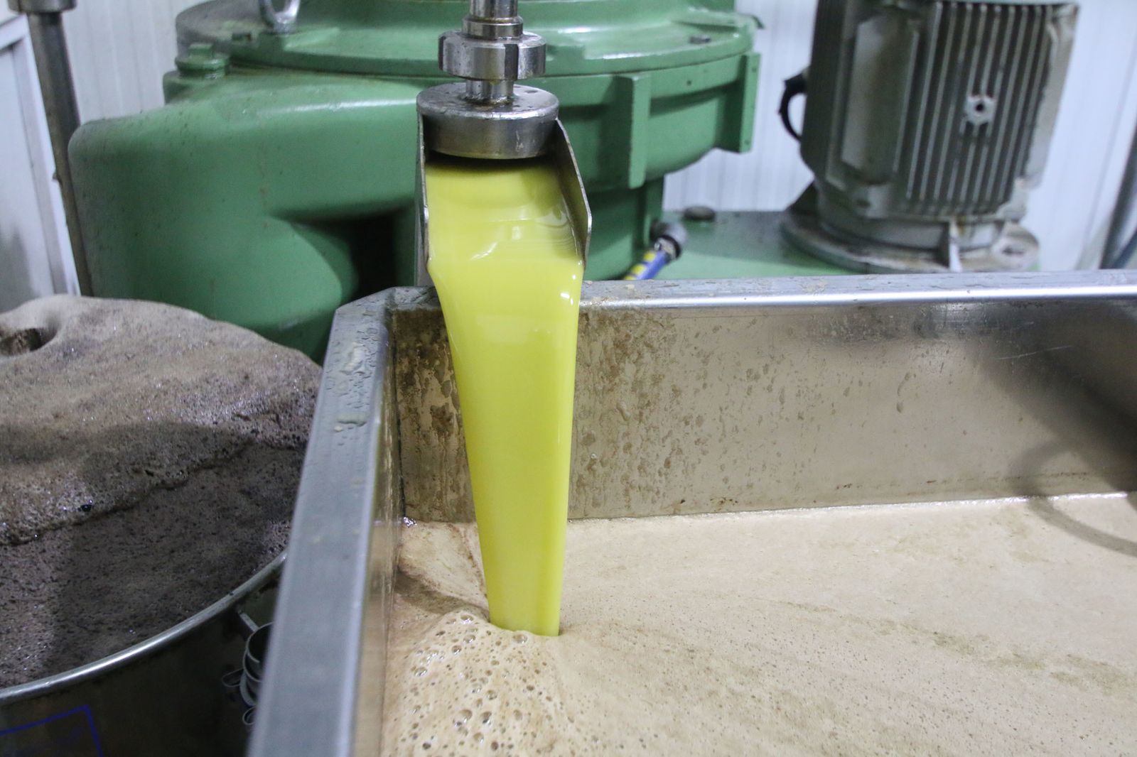 Elaboración de aceite de oliva.