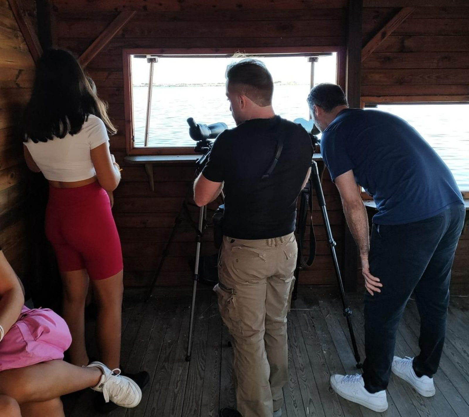 Actividad con los alumnos de observación e identificación de aves acuáticas. Actividad con los alumnos de observación e identificación de aves acuáticas.
