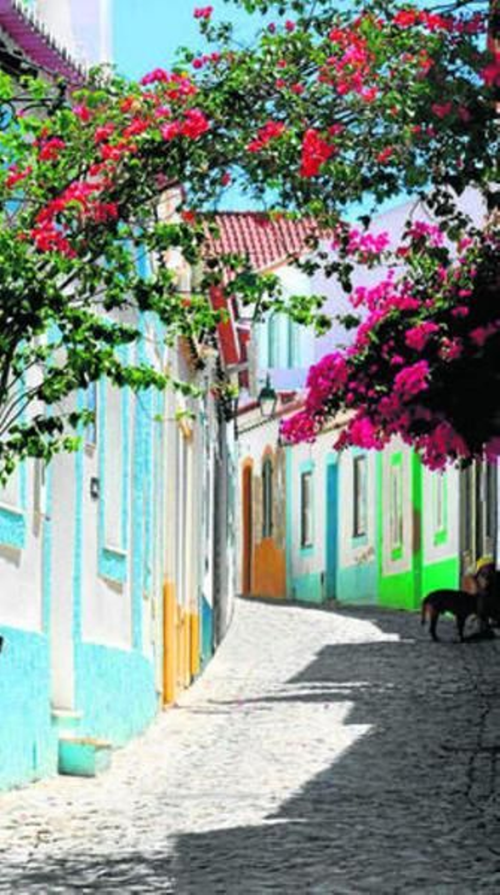 El joven artista Daniel Cumbreras, junto a sus instantáneas en el Café Bar Aqua.