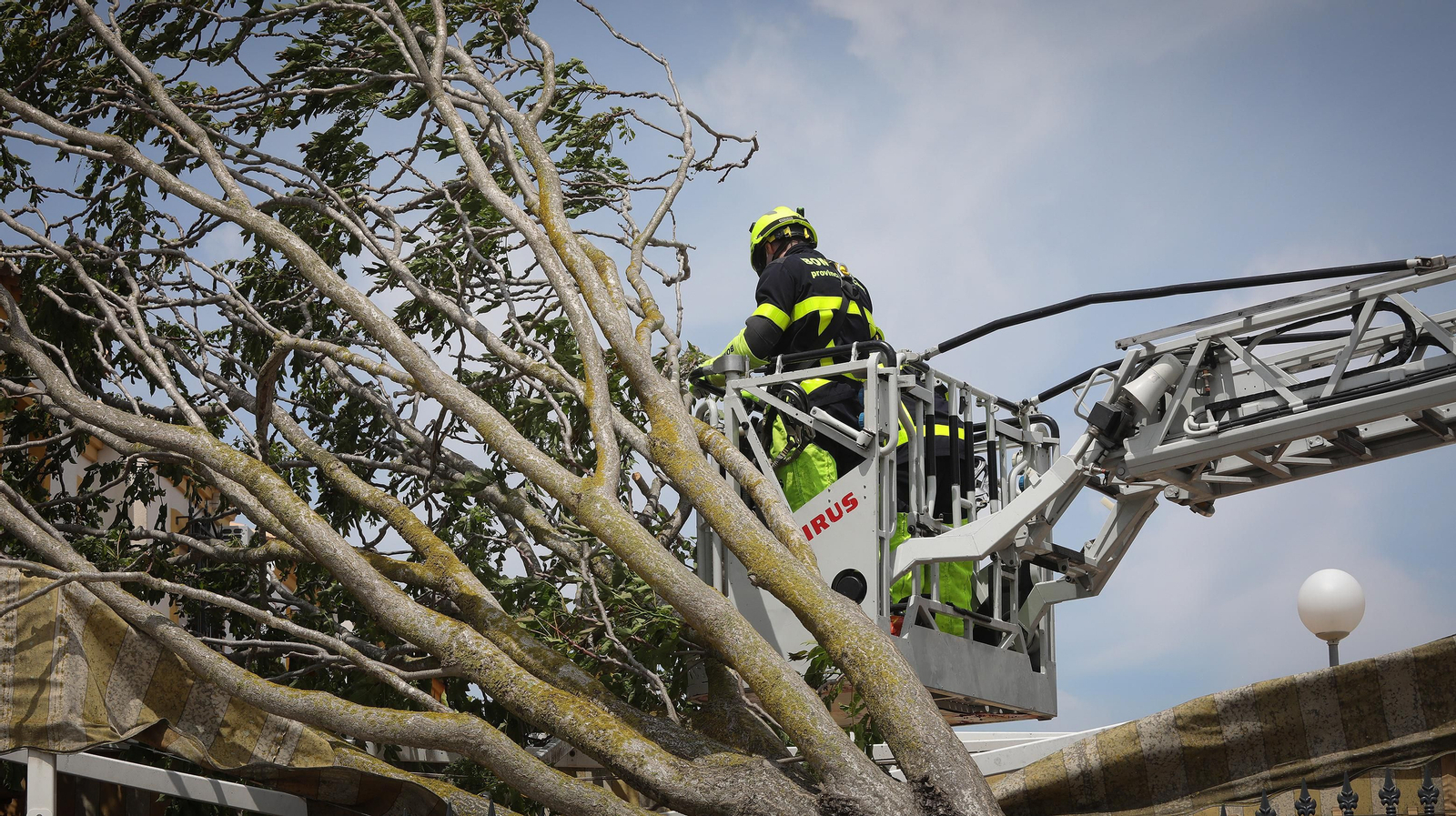 Cae un árbol en una casa por el fuerte temporal de viento que azota Jerez