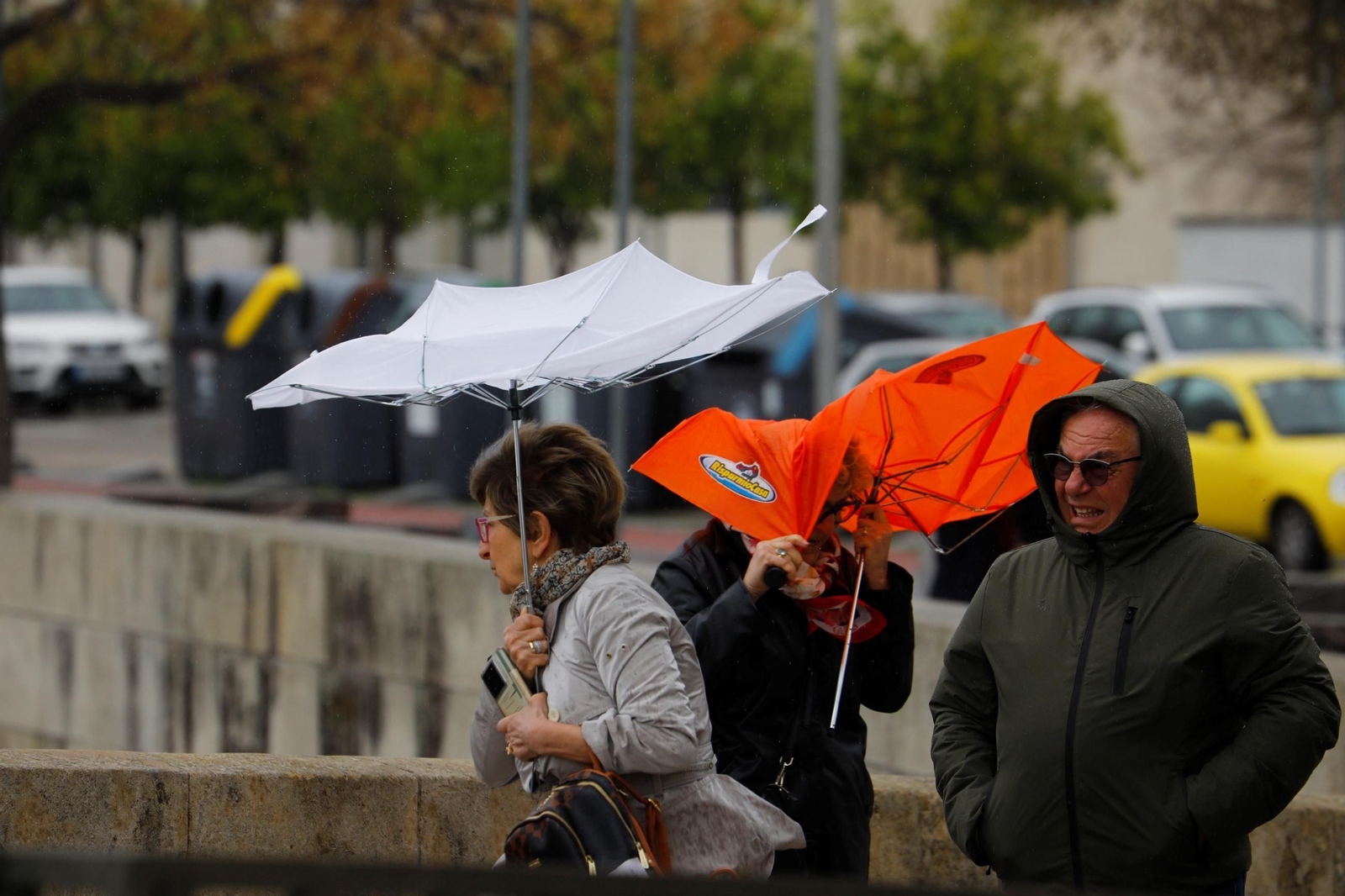 La borrasca Martinho aprieta en Córdoba, en imágenes