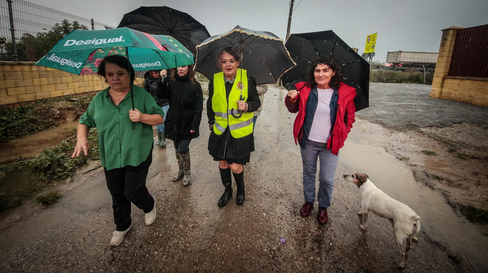Imágenes de la zona rural afectadas por la Dana, inundaciones y desalojos