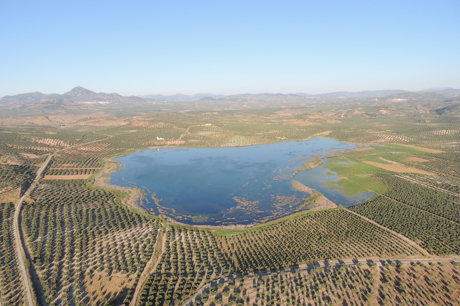 Panorámica de la laguna del Salobral, en Luque.