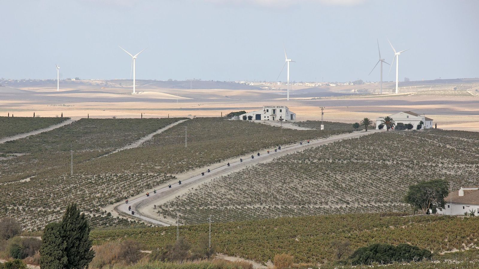 Cielos despejados este pasado sábado en la campiña jerezana