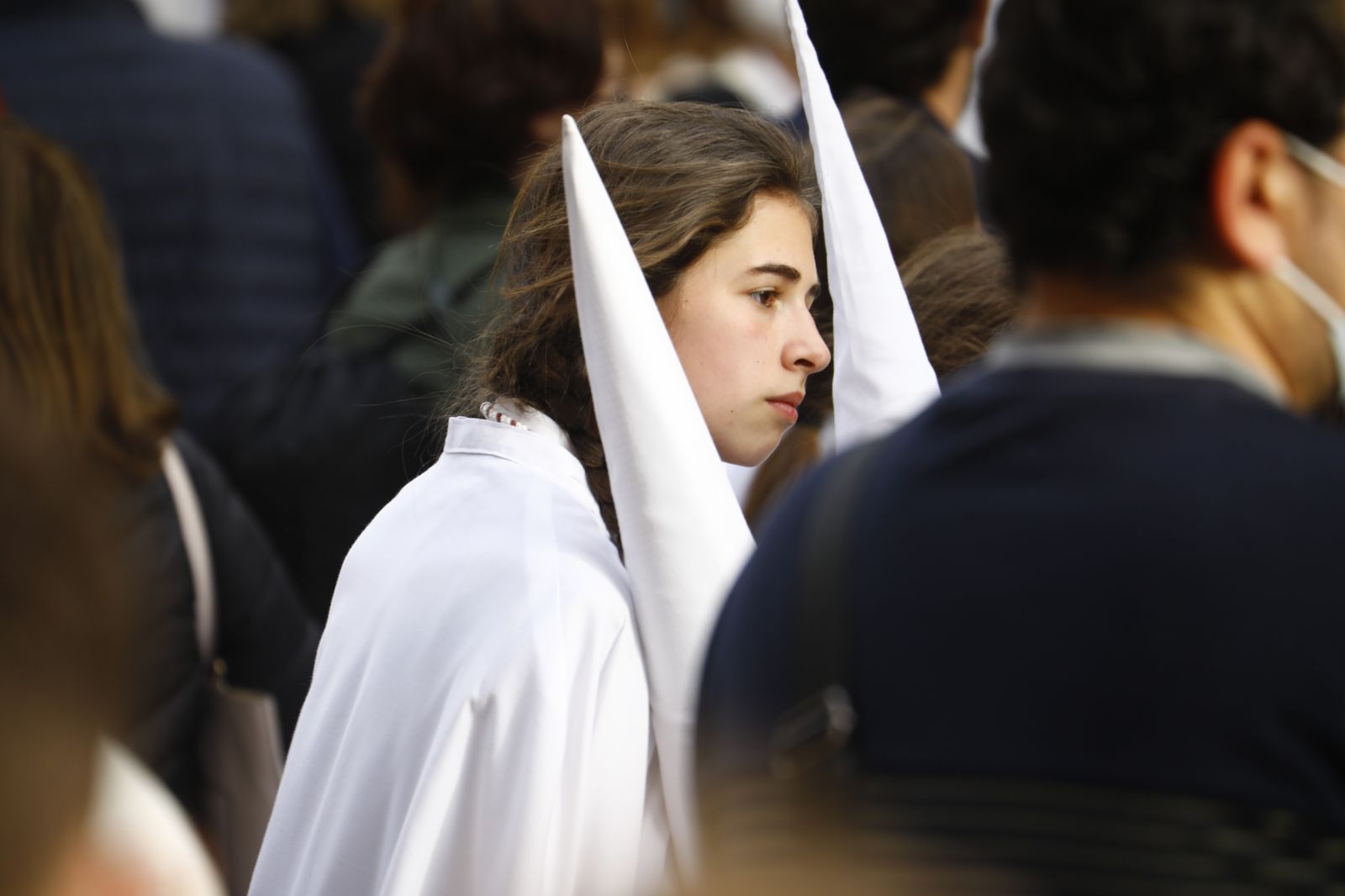 Las imágenes de la impotencia: la suspensión de la Sentencia de Córdoba