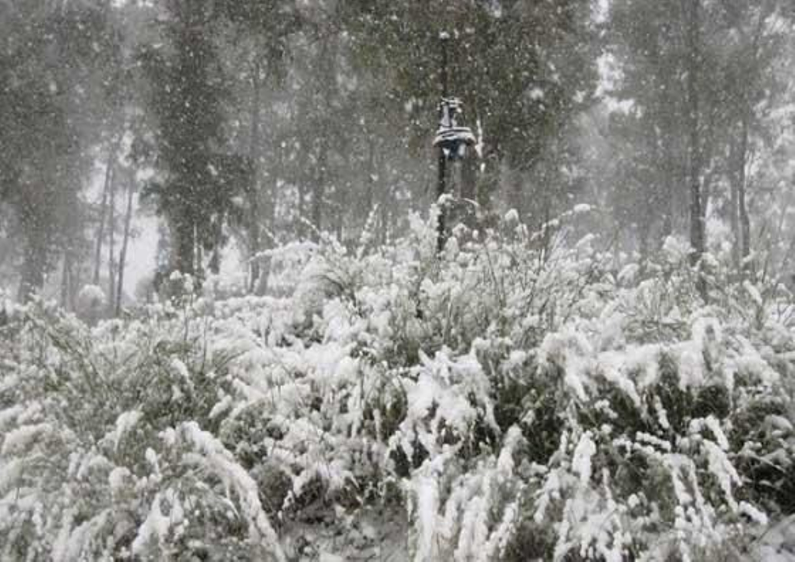 Intensa nevada en Constantina (enero 2010)