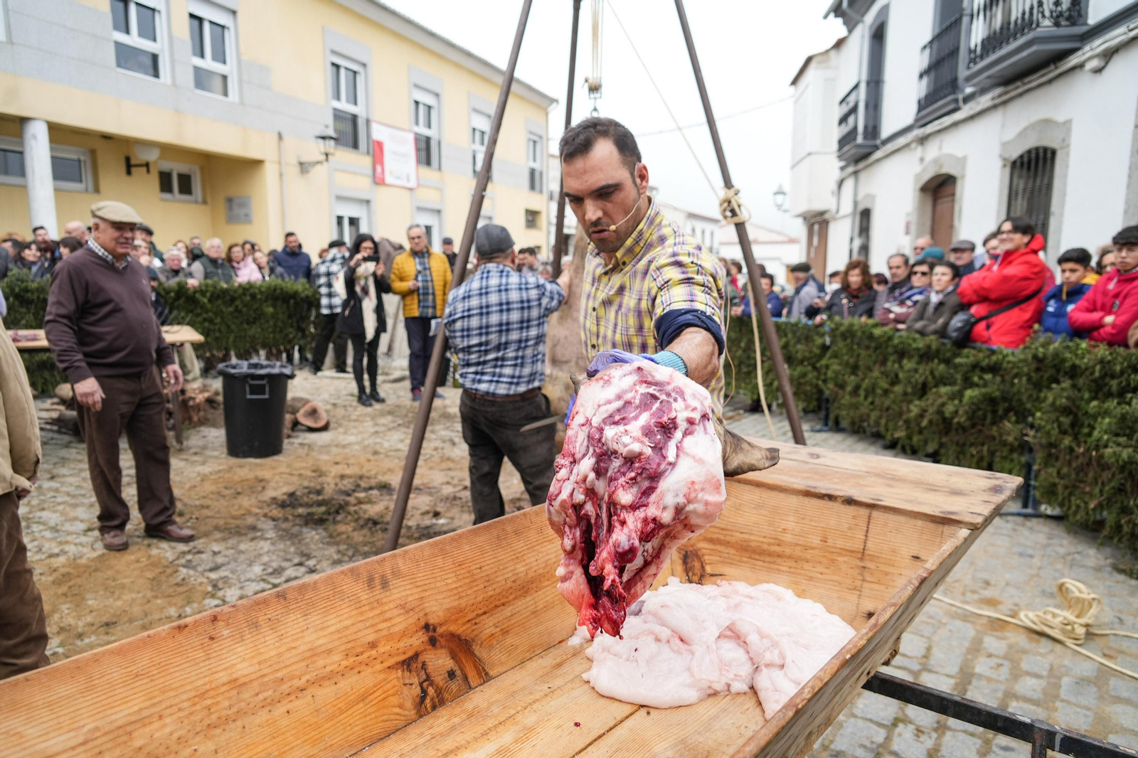 La Fiesta de la Matanza de Alcaracejos, en imágenes