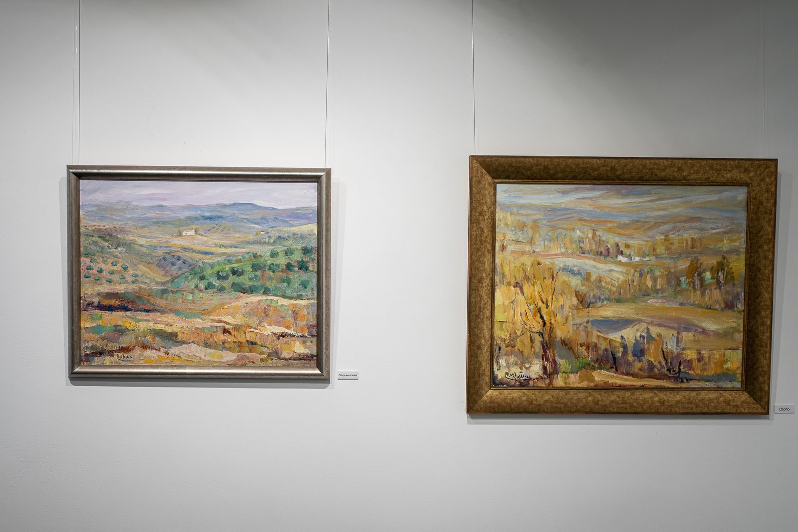 Imágenes de la inauguración de la exposción "Paisajes" de Pilar Barroso