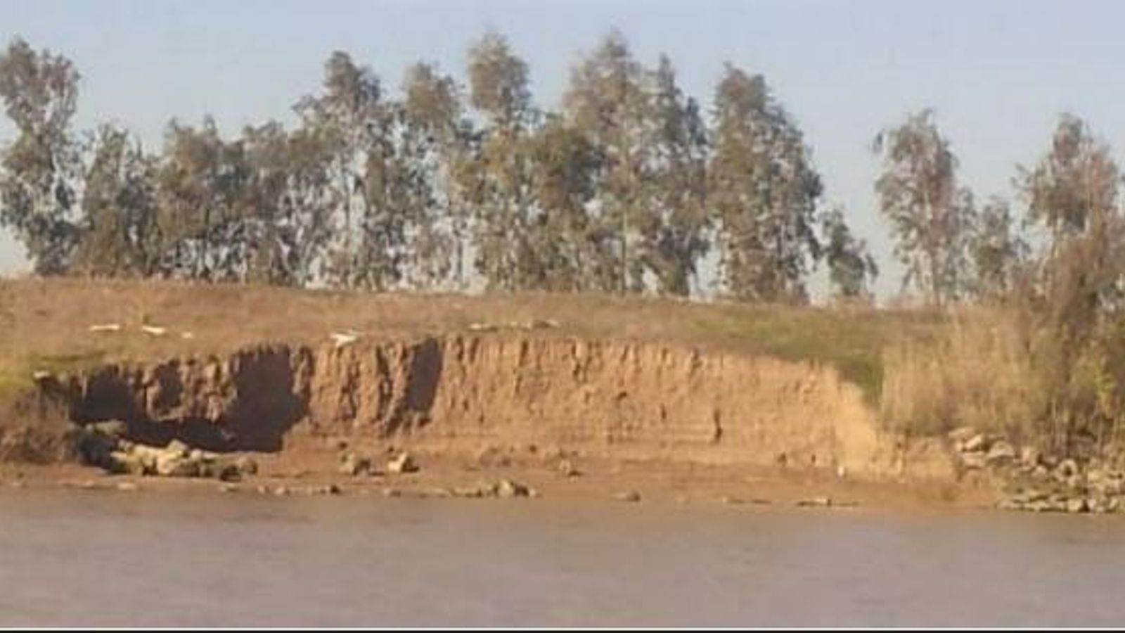 Corta de la Cartuja, una zona sin navegación en la margen izquierda.