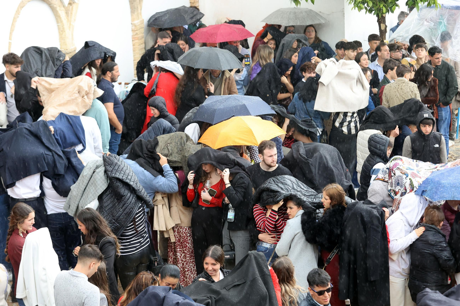 Imágenes de la Hermandad de Los Judíos de San Mateo en la Semana Santa de Jerez 2025