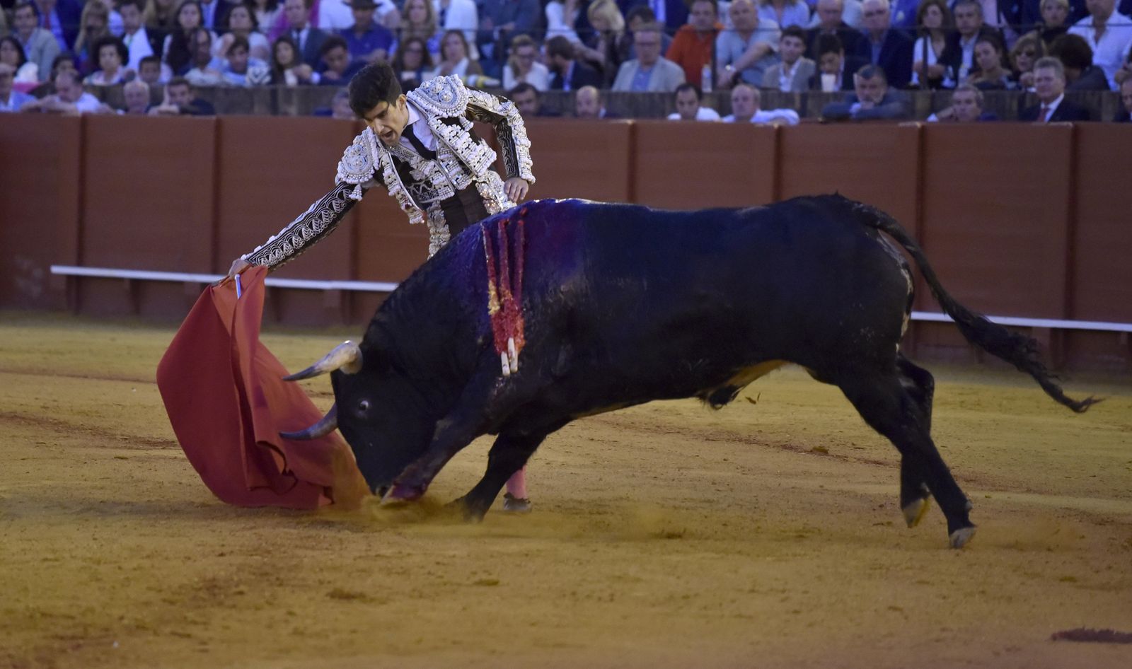Las imágenes de la 13ª corrida de abono de La Maestranza