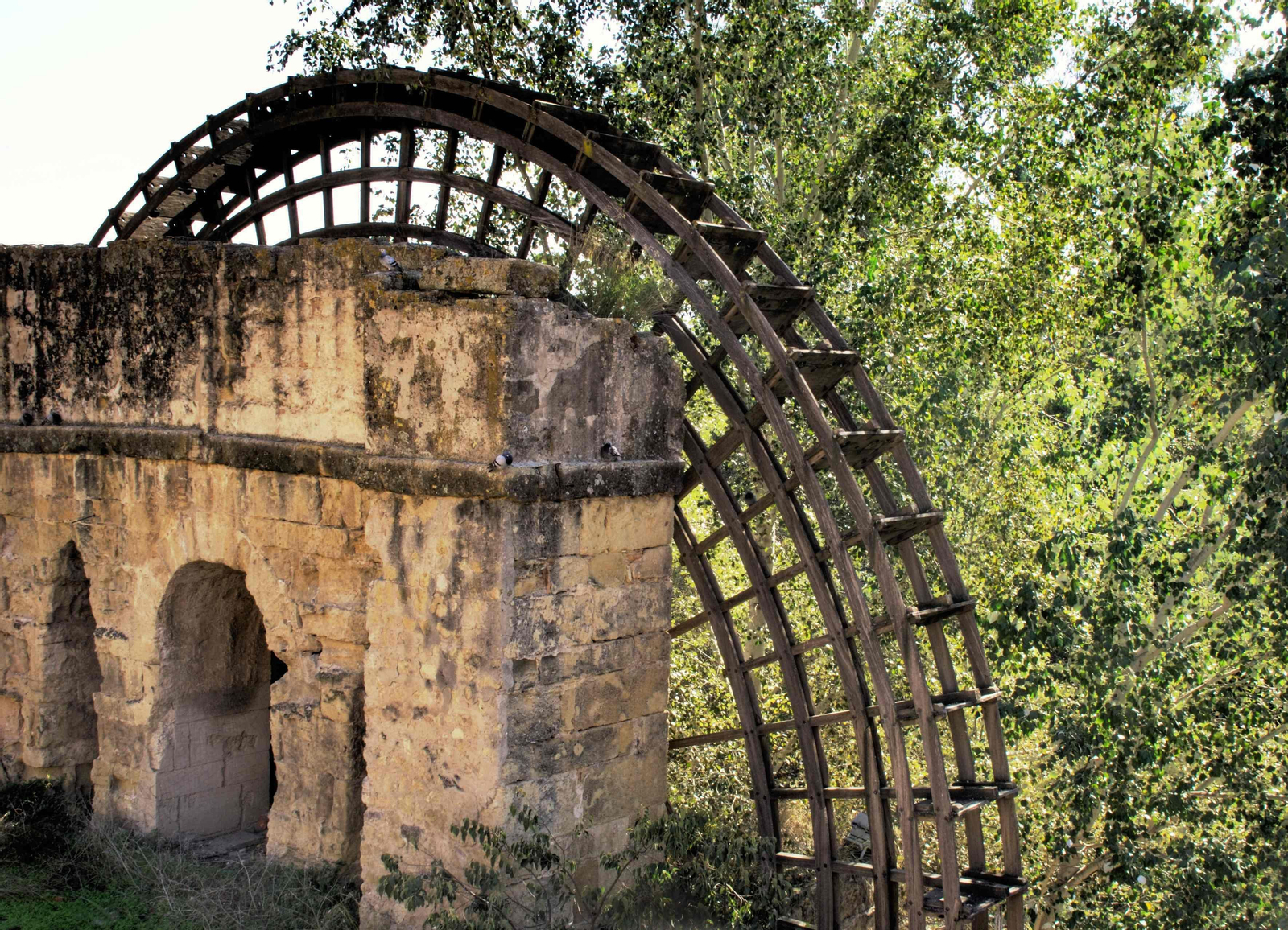 Historia de los molinos del Guadalquivir cordobés en fotografías