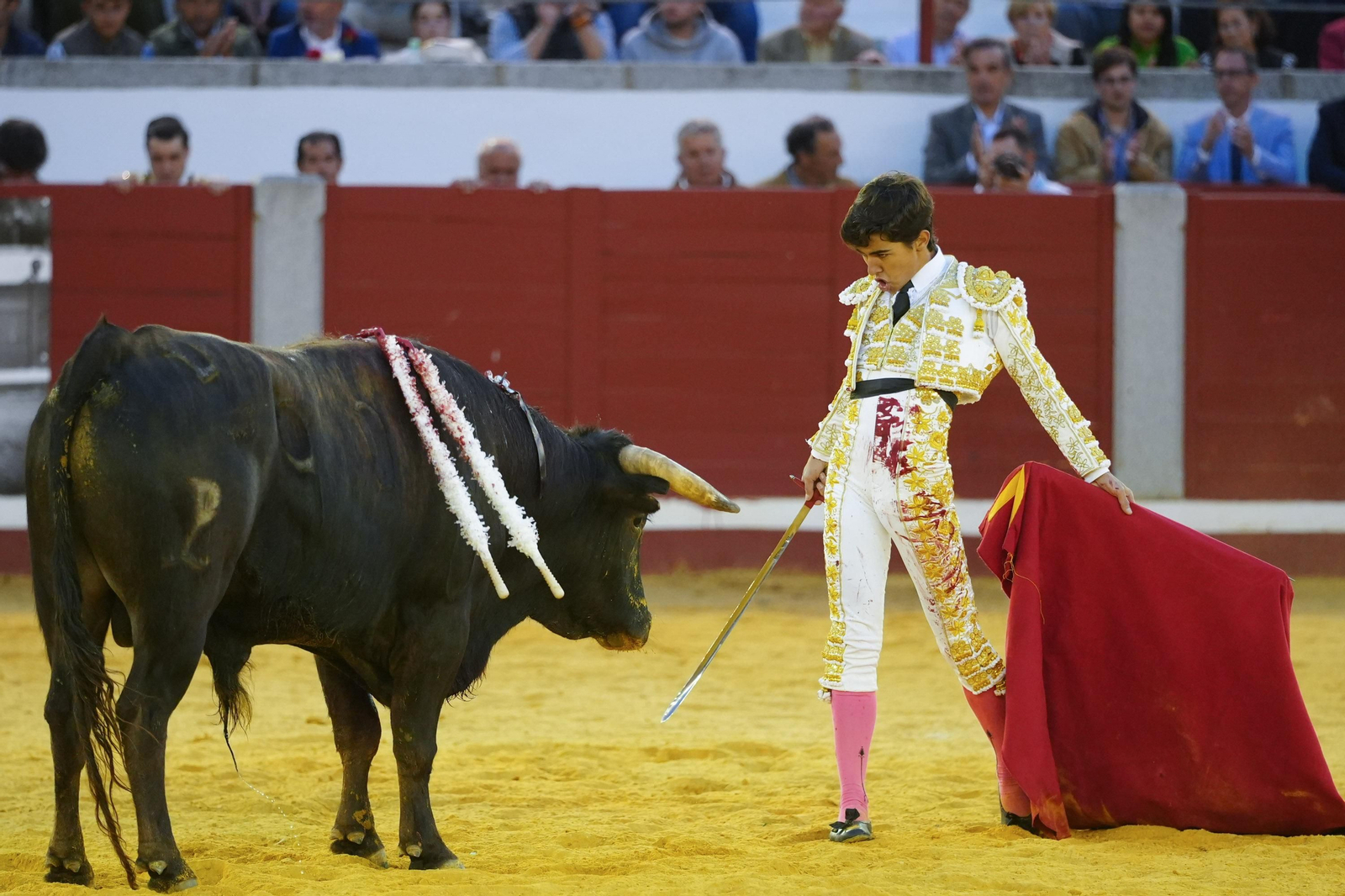 Las mejores imágenes de Manuel Morán, El Fandi y Daniel Luque en Pozoblanco