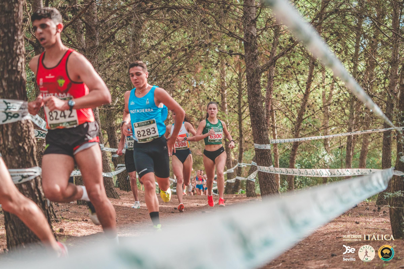 Búscate en las fotos del Cross de Itálica 2025 | 4