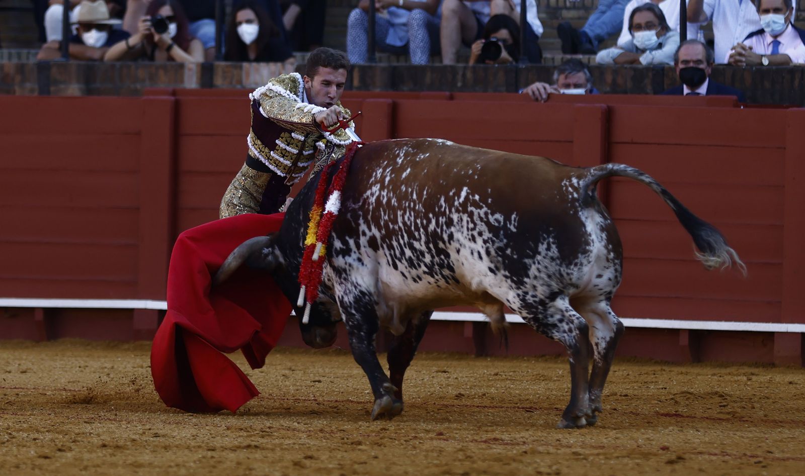 Fotos de la segunda novillada de la feria de San Miguel de Sevilla