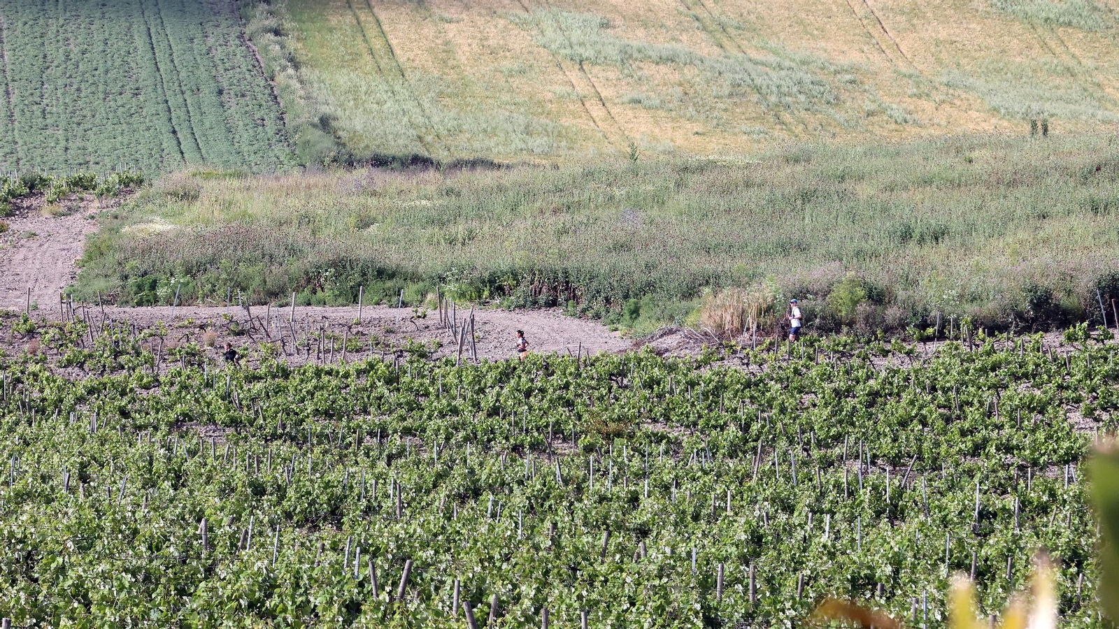 Búscate en la Sherry Maratón 2025 de Jerez (I)