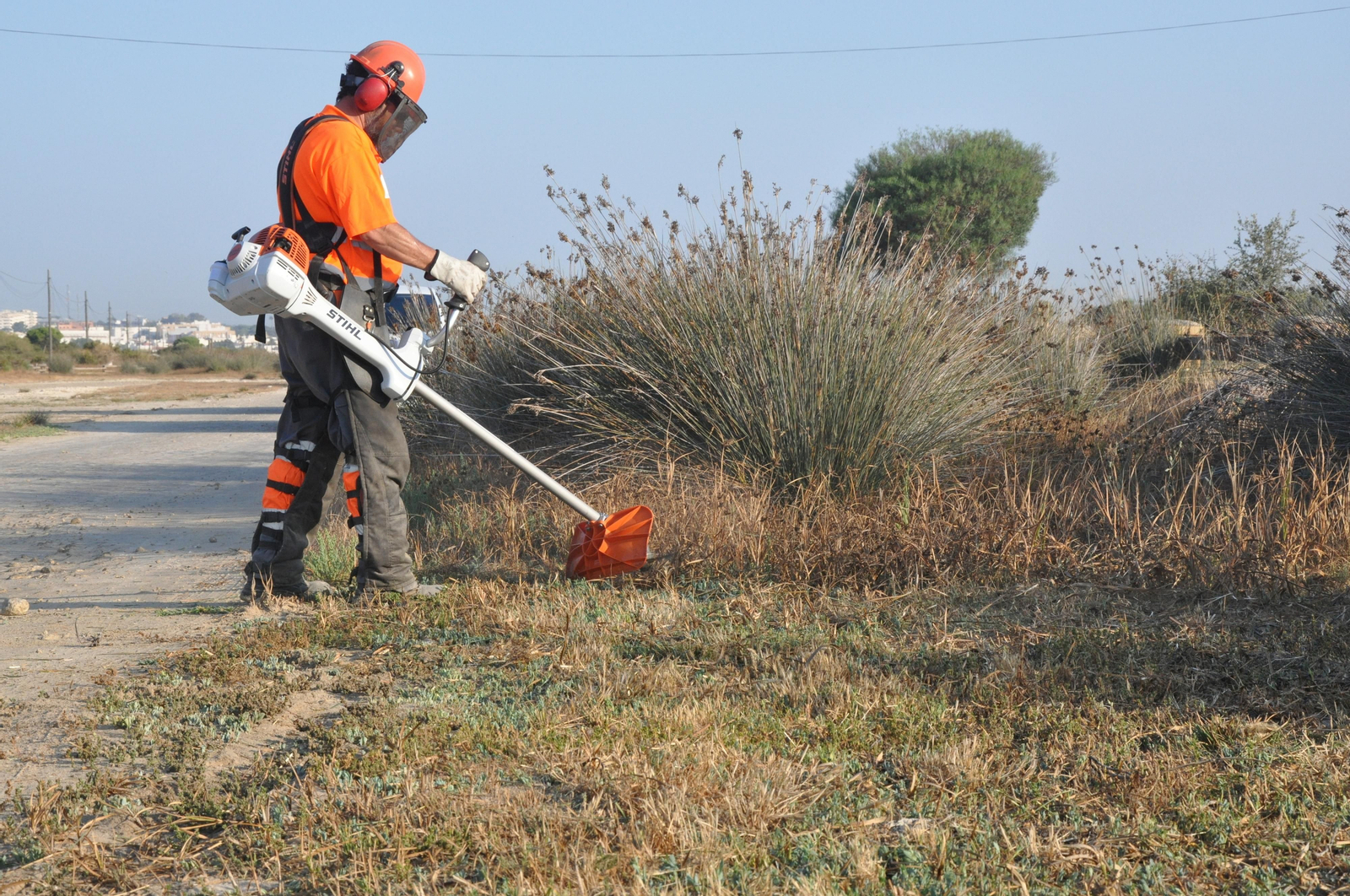 El Ayuntamiento desbroza los accesos y paseos del litoral para evitar incendios.